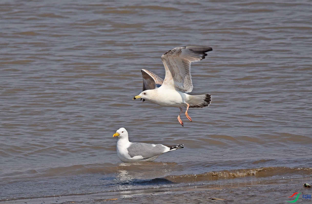 DSC_3764.jpg