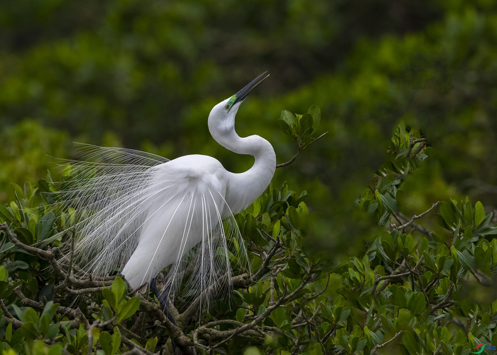 9463 ����.jpg