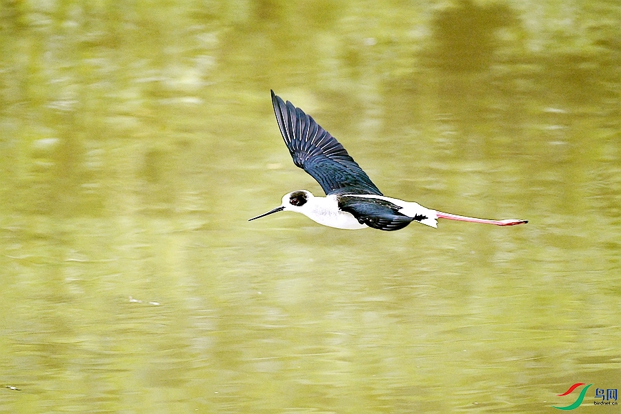 DSC_8932.JPG