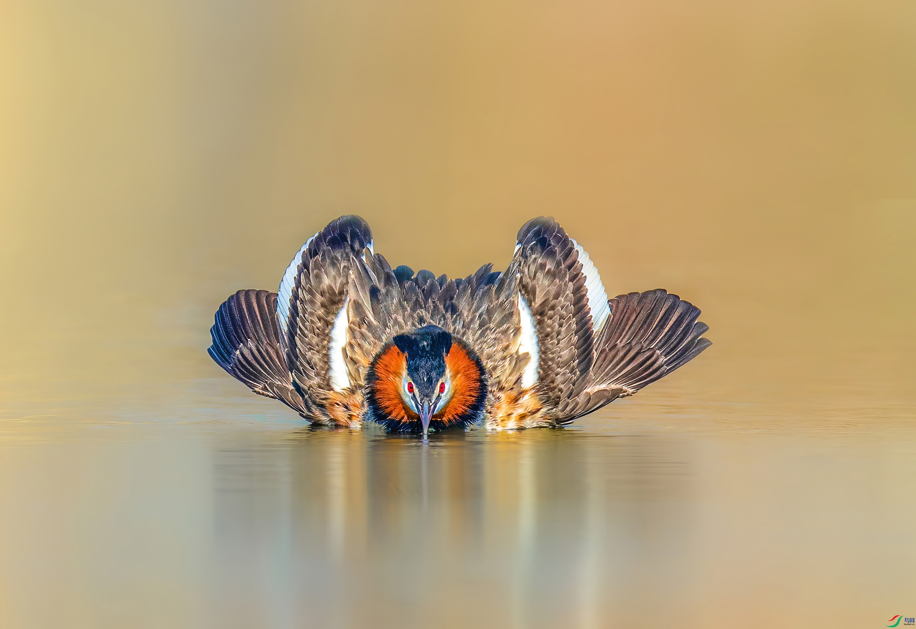 _JLN7833_1 ����OK.jpg