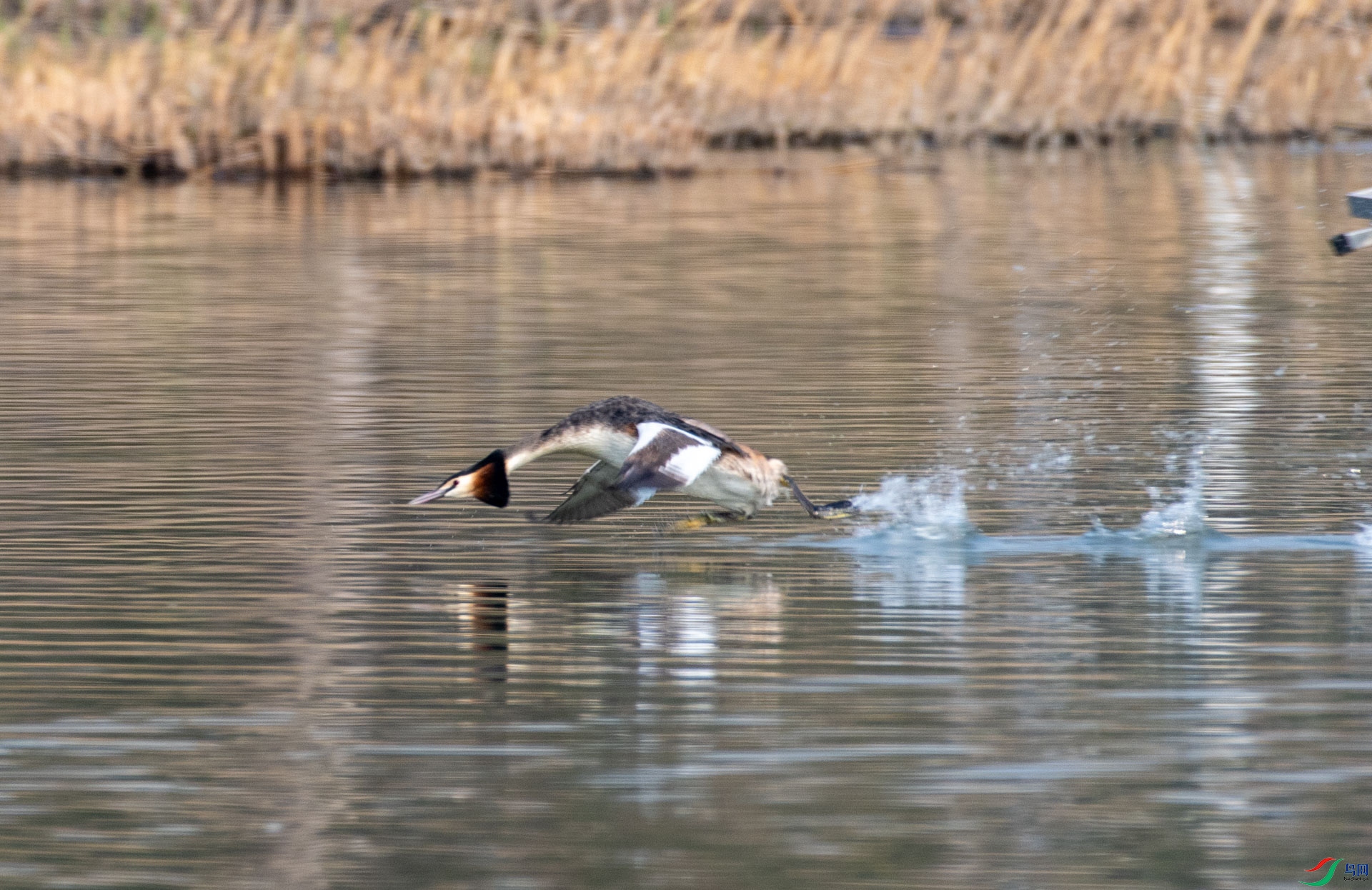DSC_1152.jpg