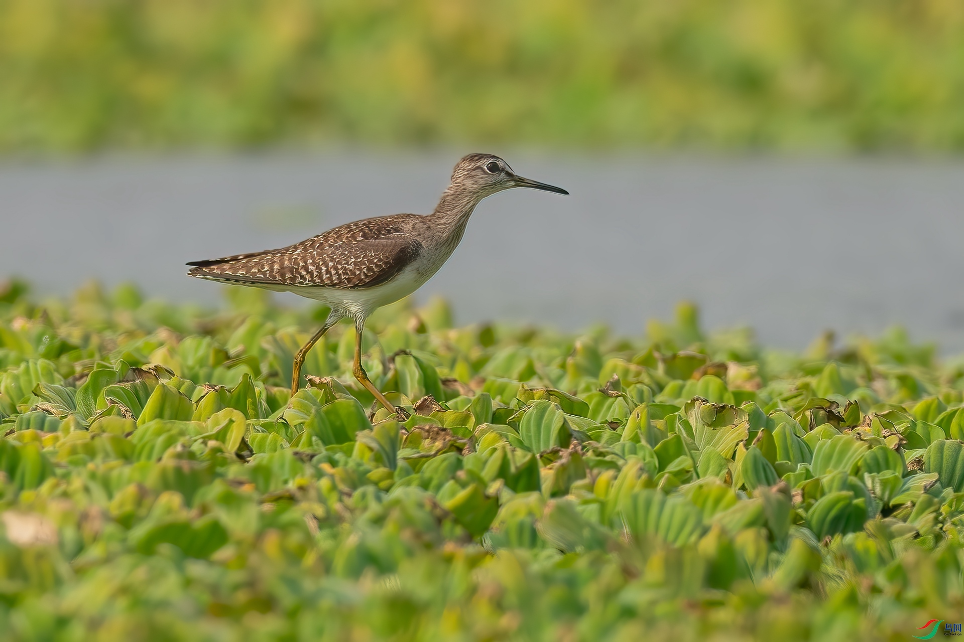 B86I9581 _����.jpg