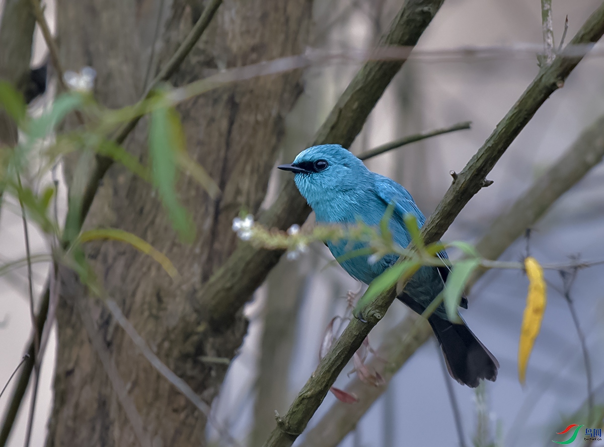 DSC_9056.JPG