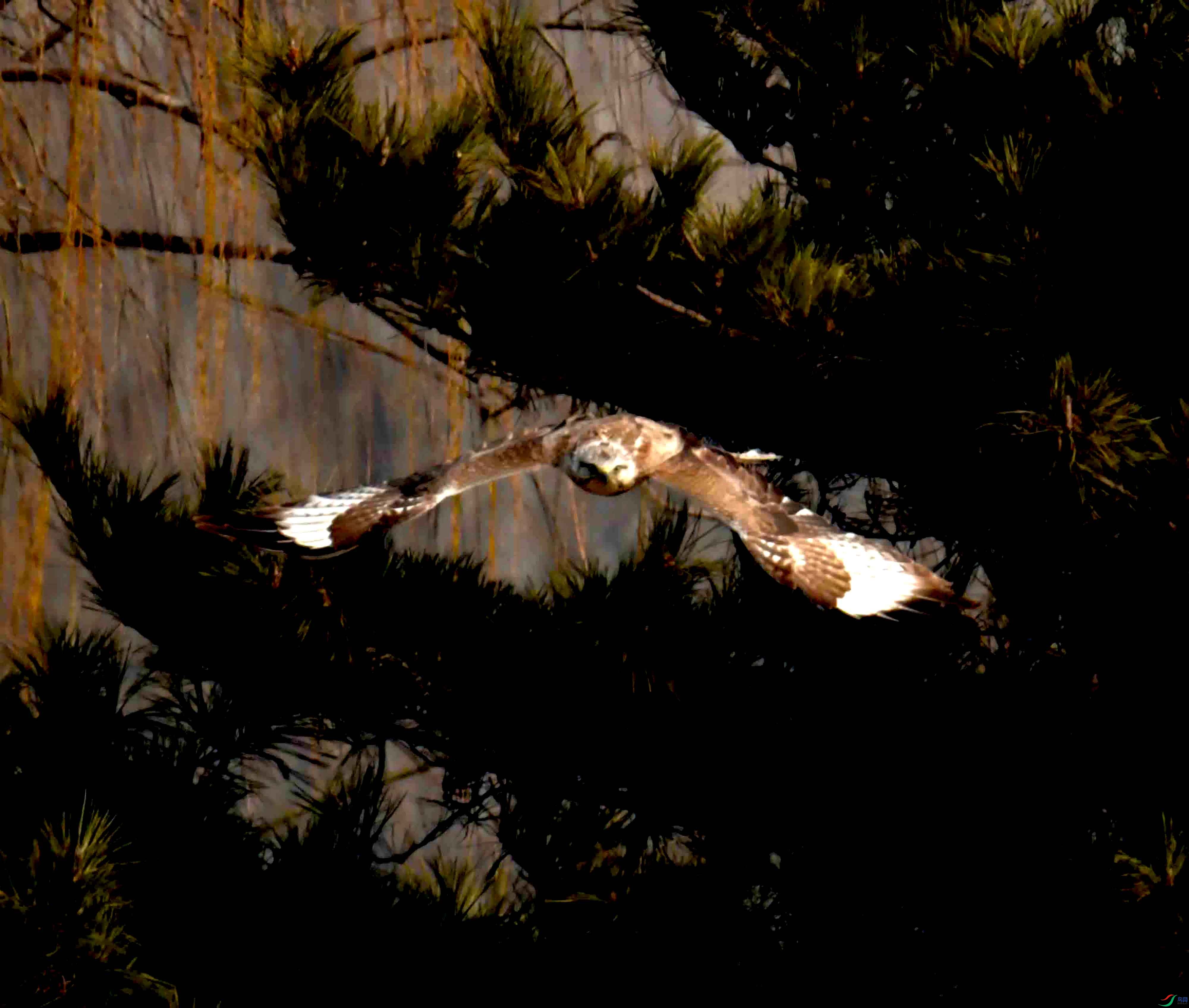 DSC_0463.JPG