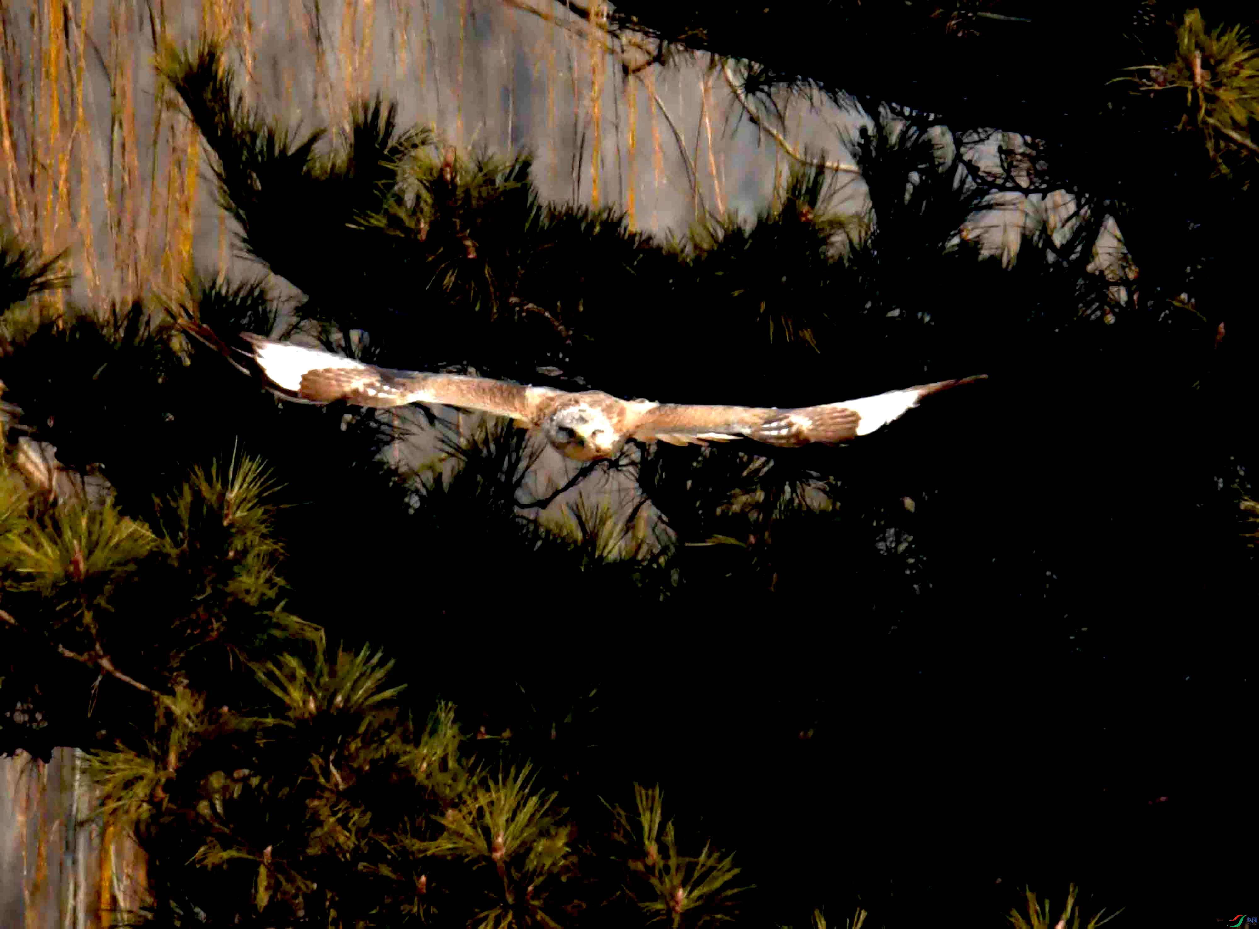 DSC_0464.JPG