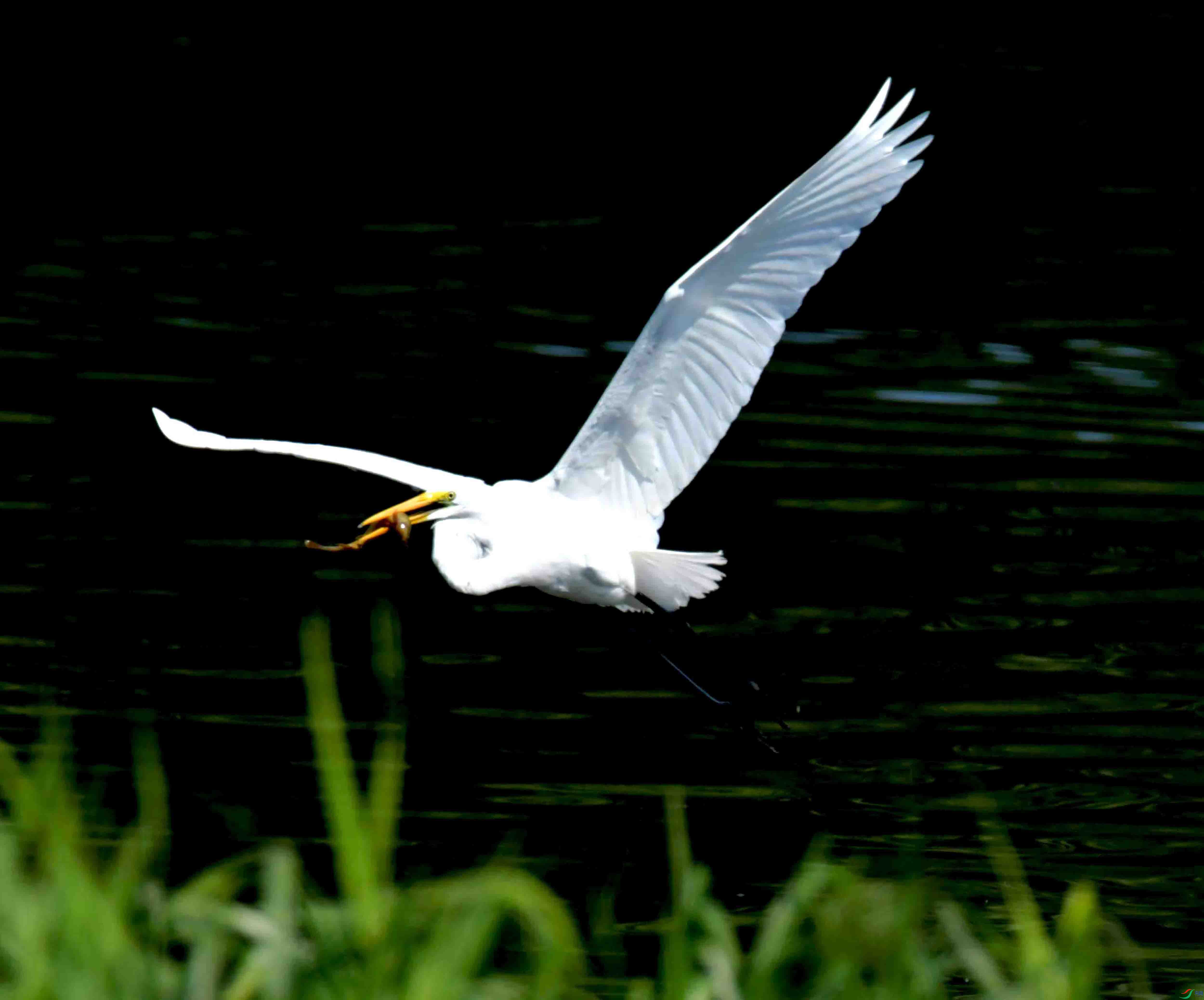 DSC_1925.JPG