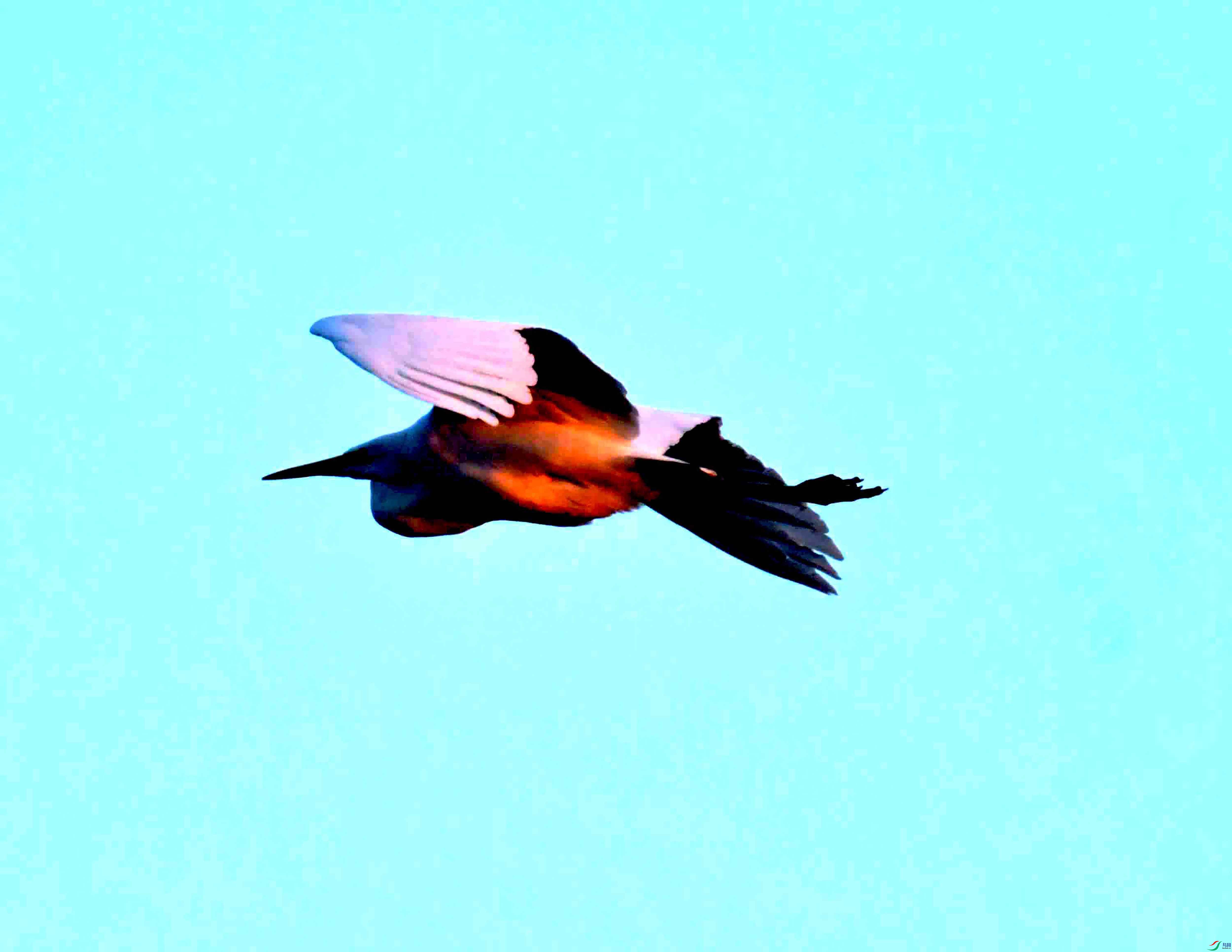 DSC_1940.JPG