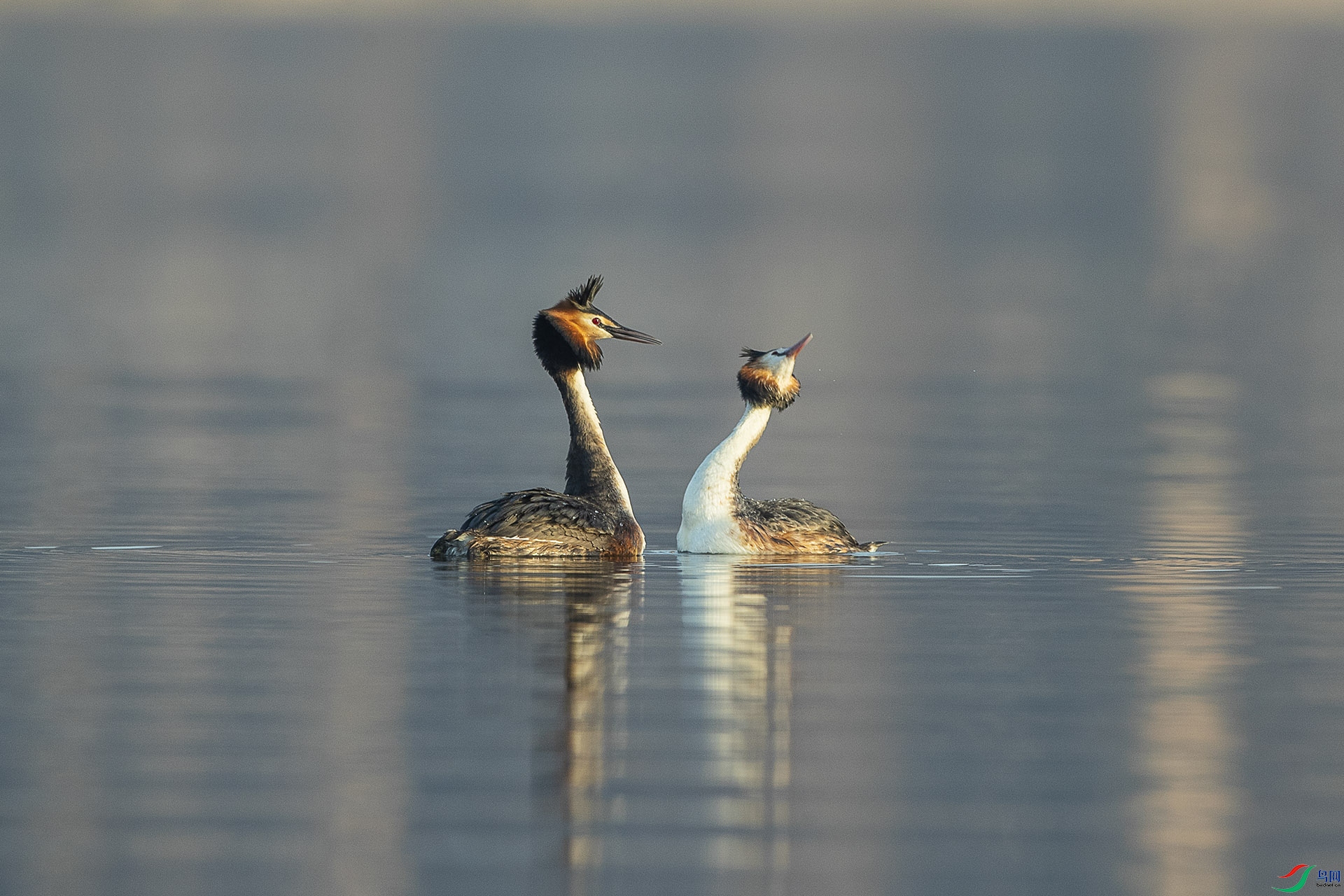 CD0I6547 ����.jpg