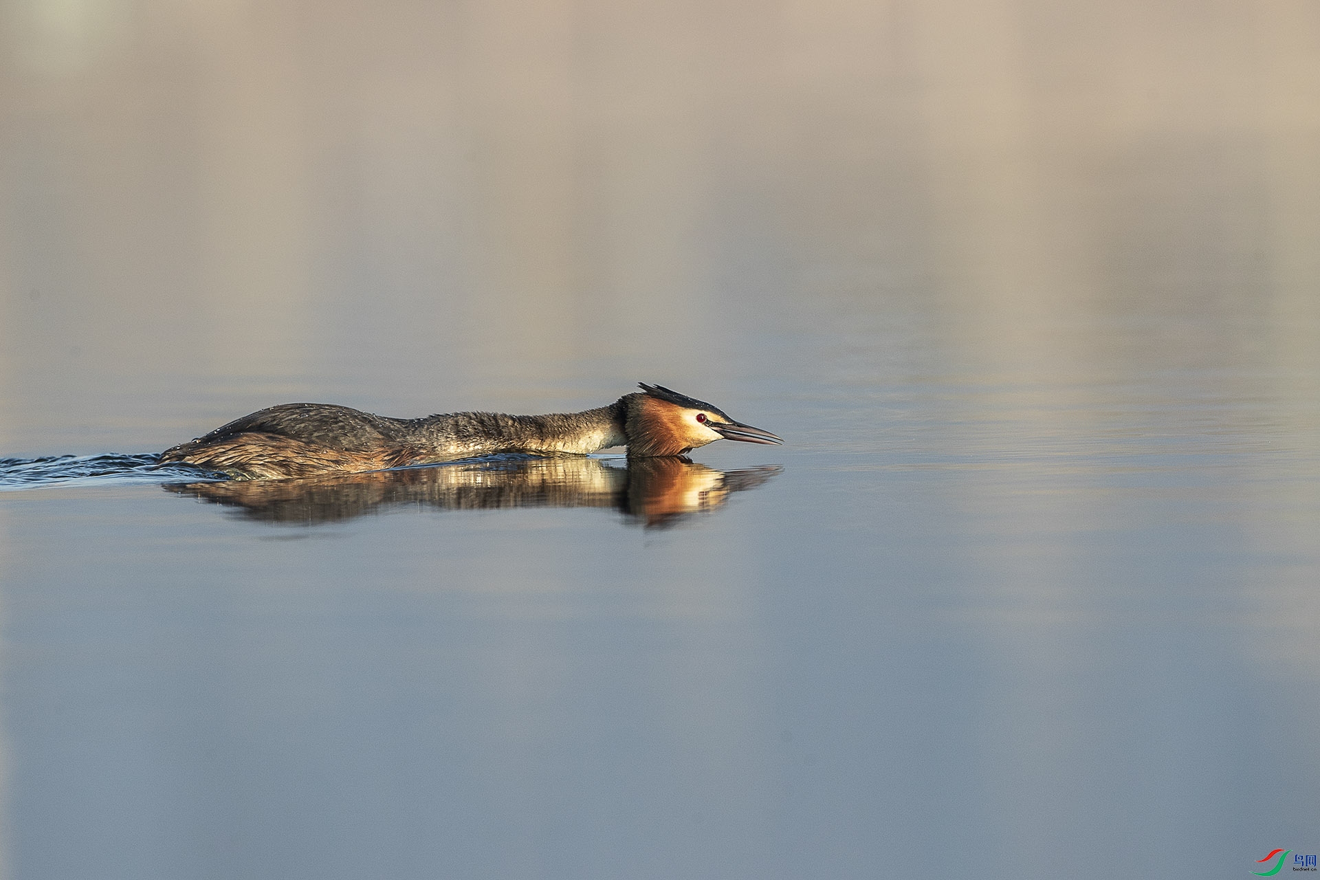 CD0I6462 ����.jpg