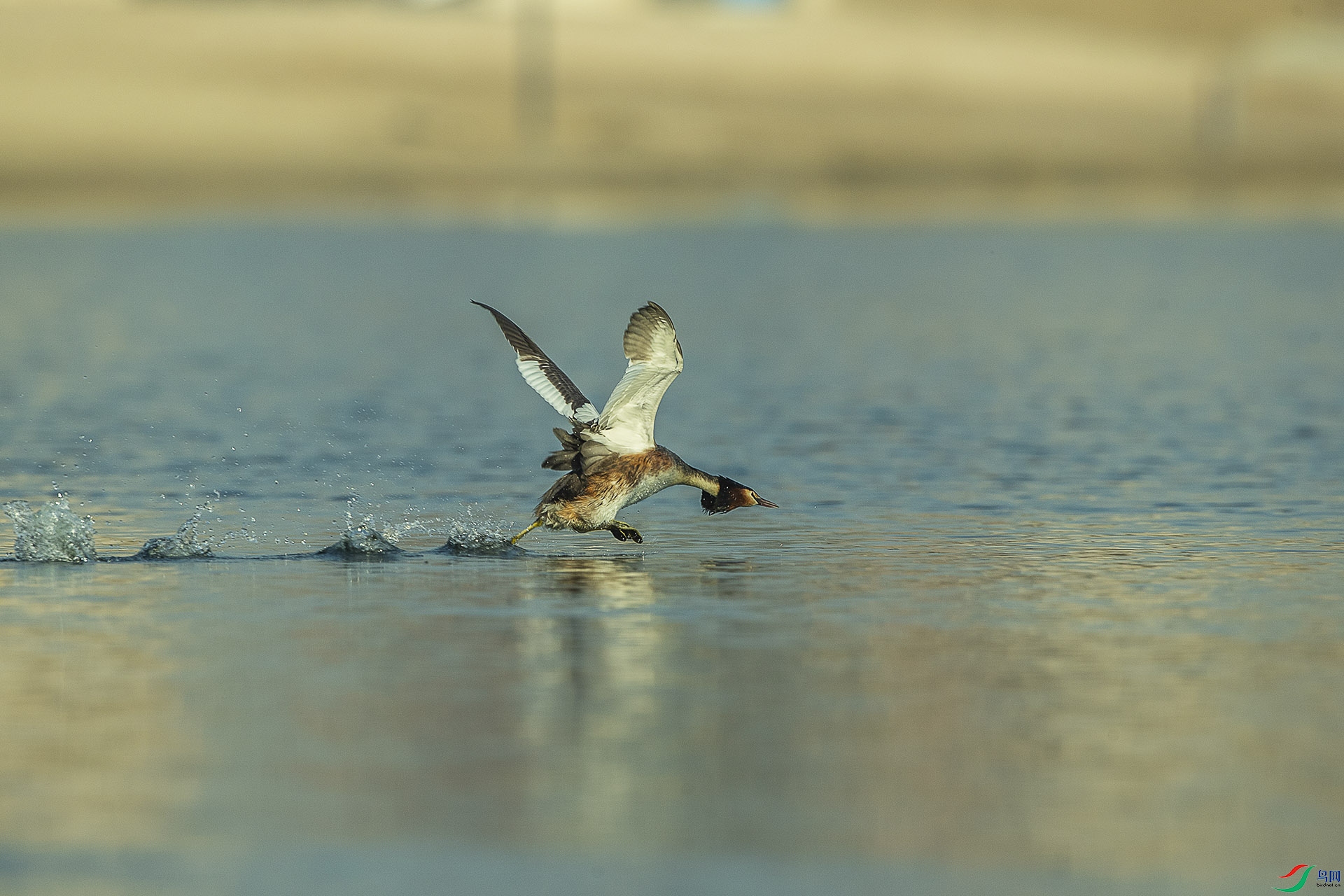 CD0I7131 ����.jpg