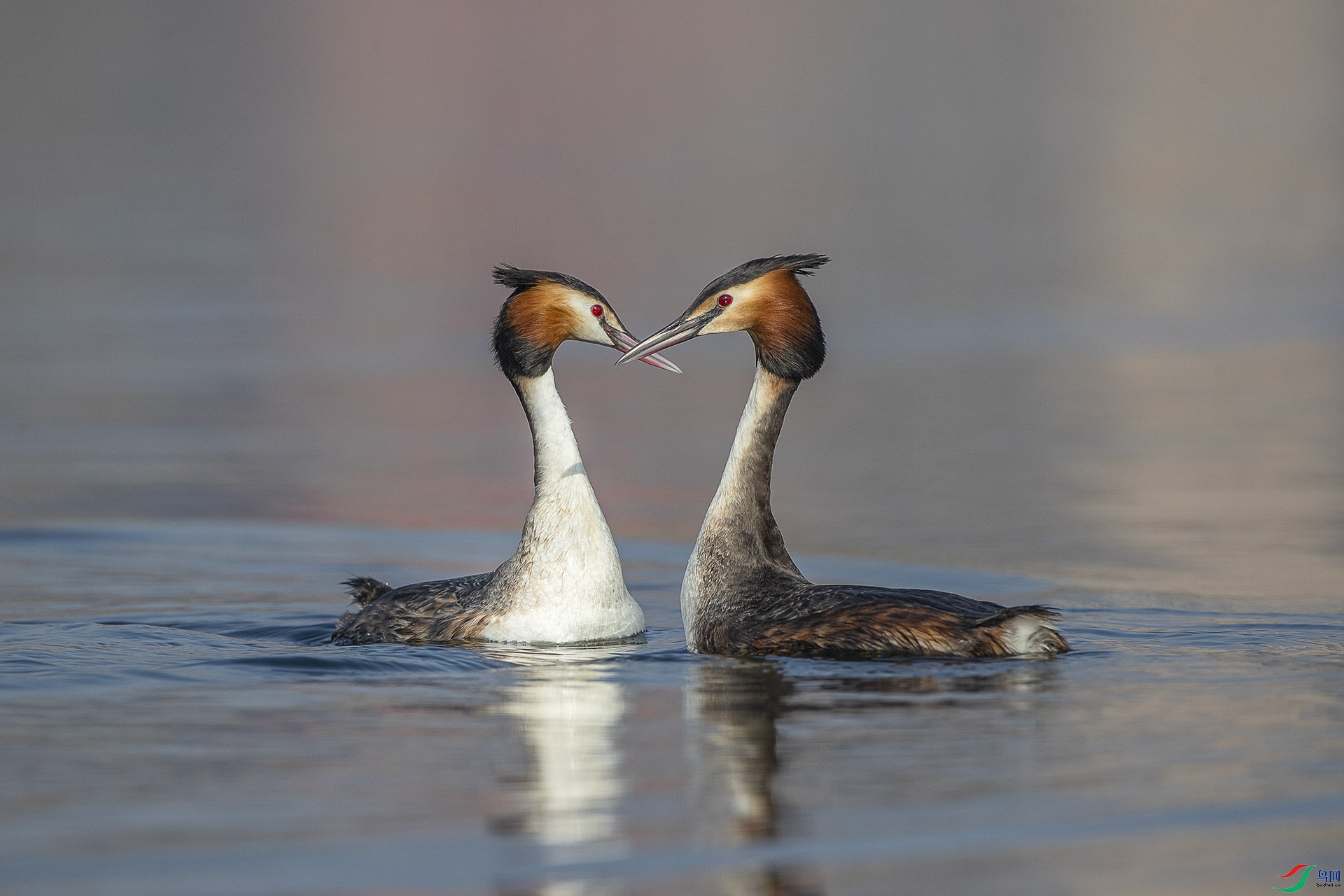 CD0I7881 ����.jpg