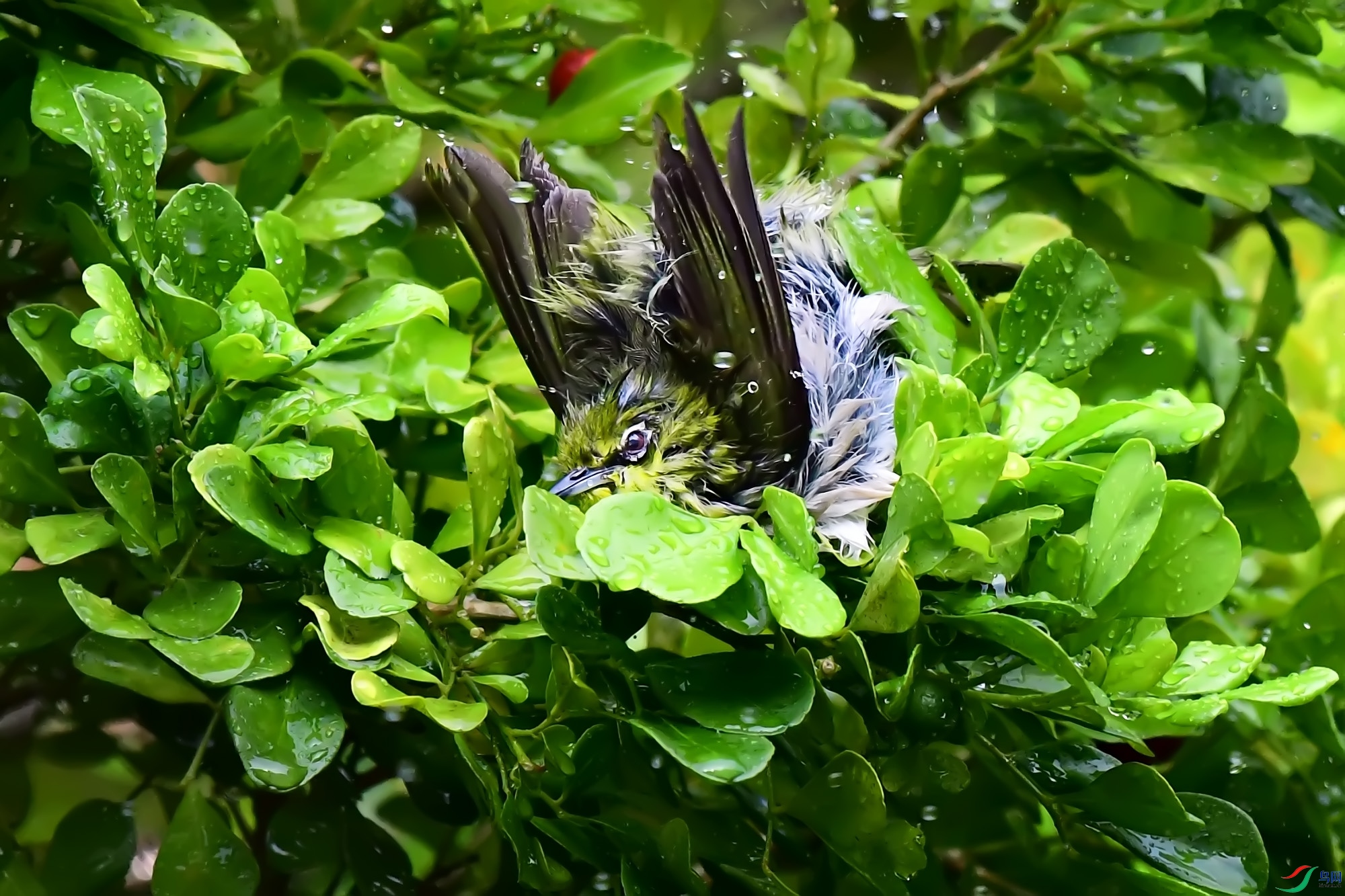 DSC_0020.jpg