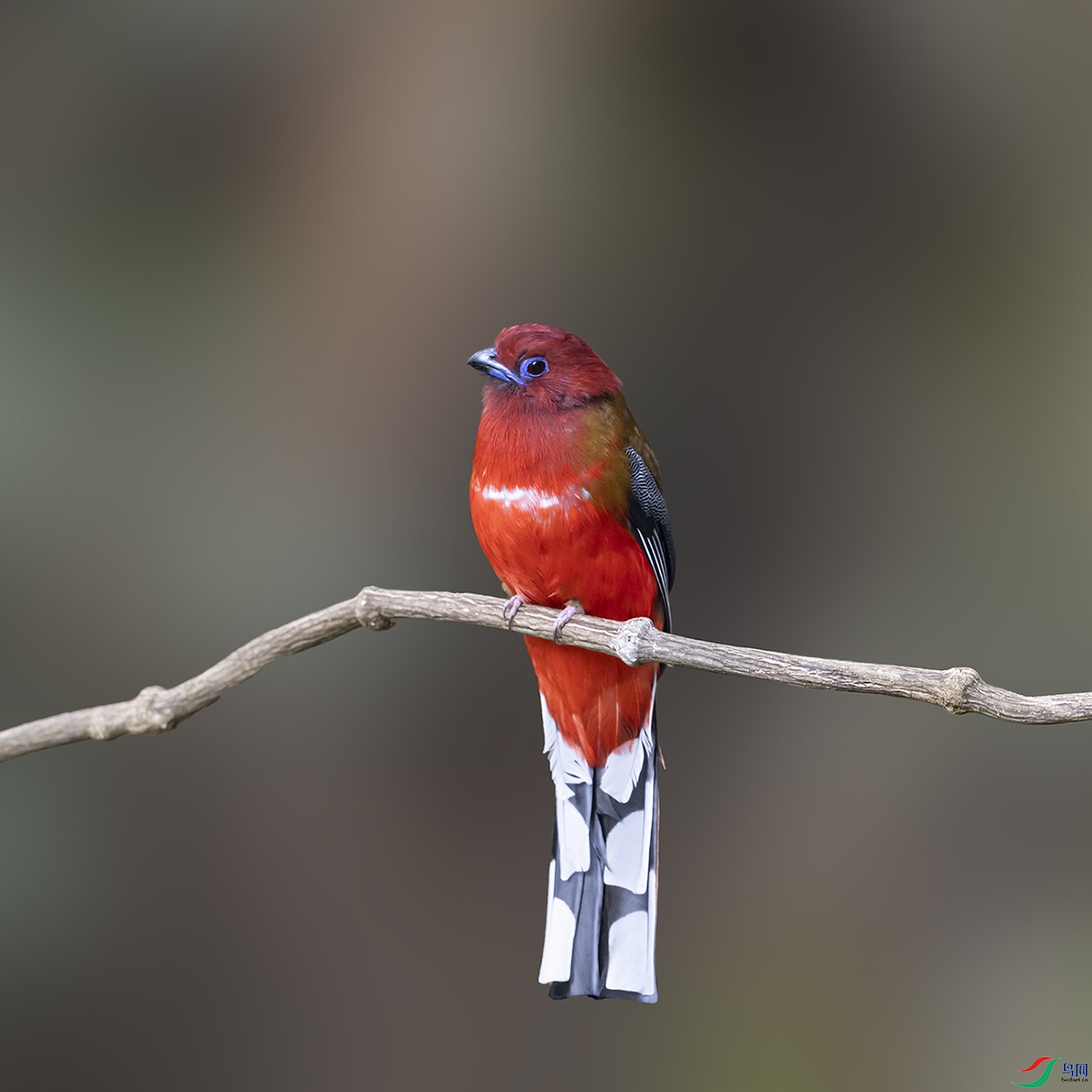 2F5A6880 ����.psd3 ����.jpg22.jpg