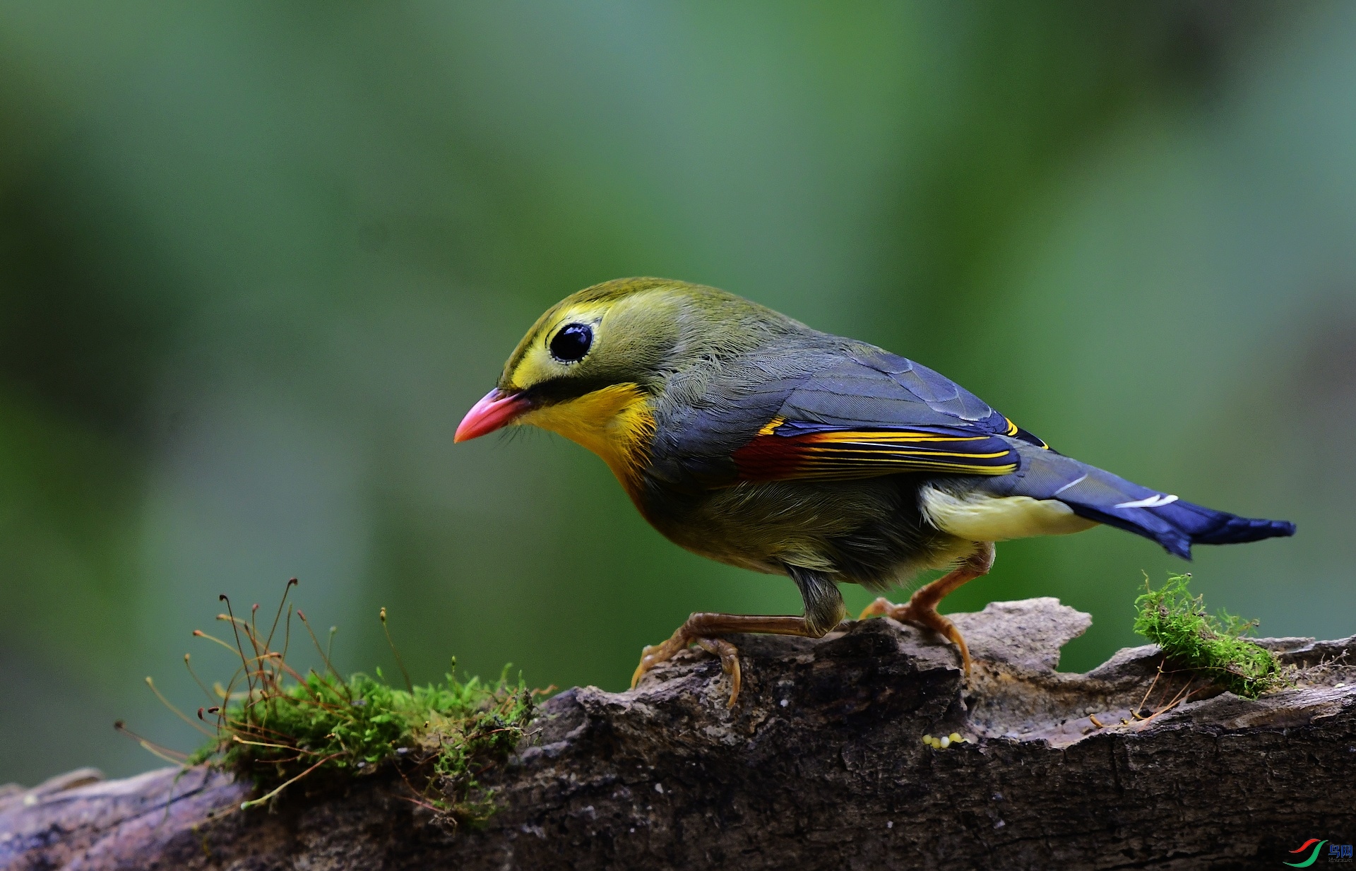 _D5D0710.jpg