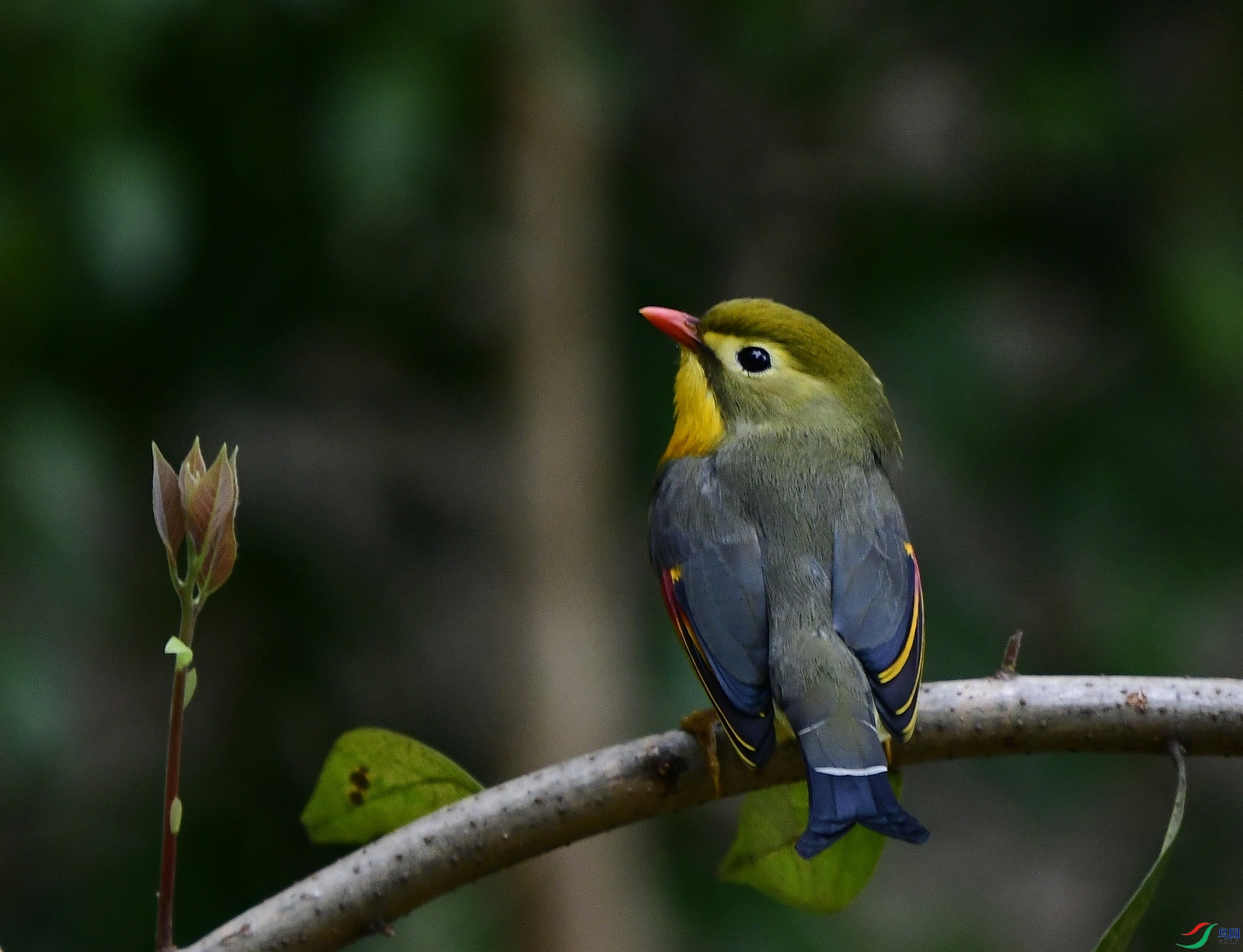 _D5D0292.jpg