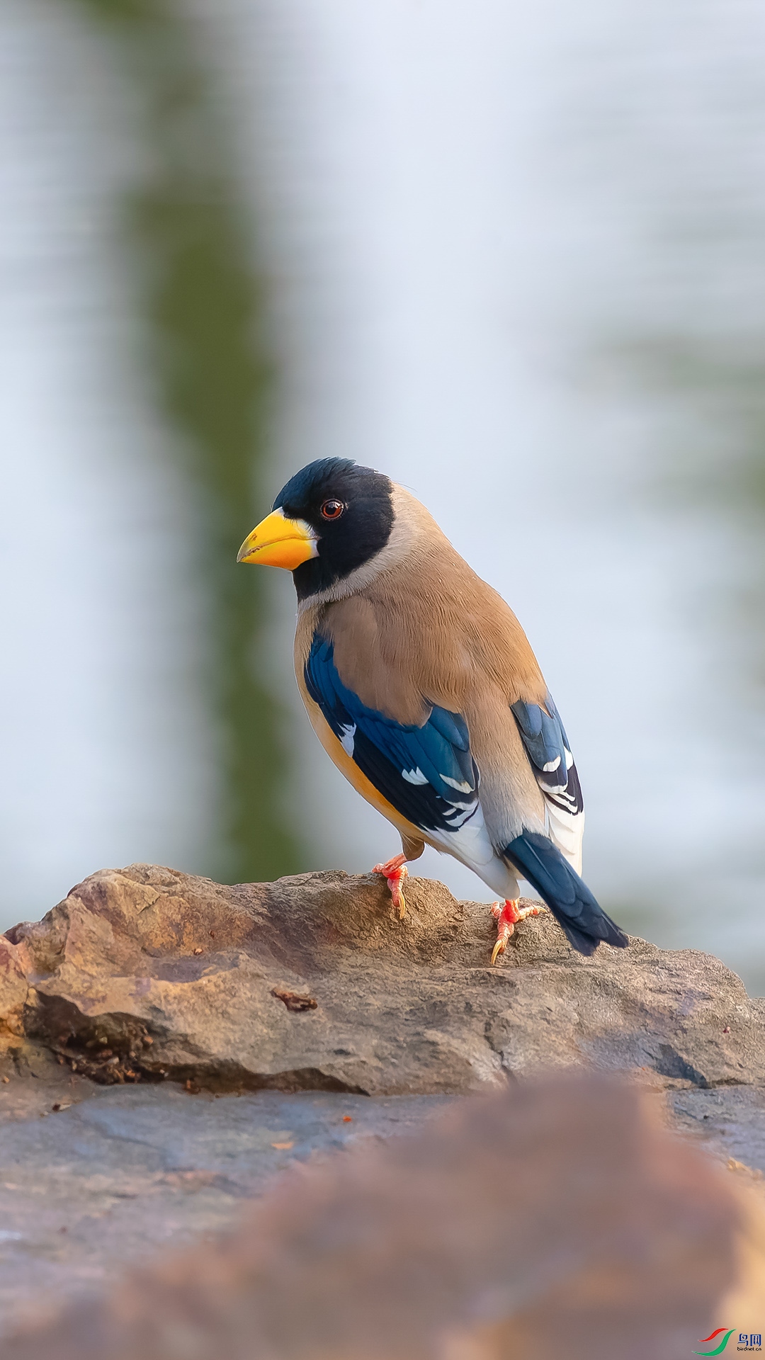 DSC_8115.jpg