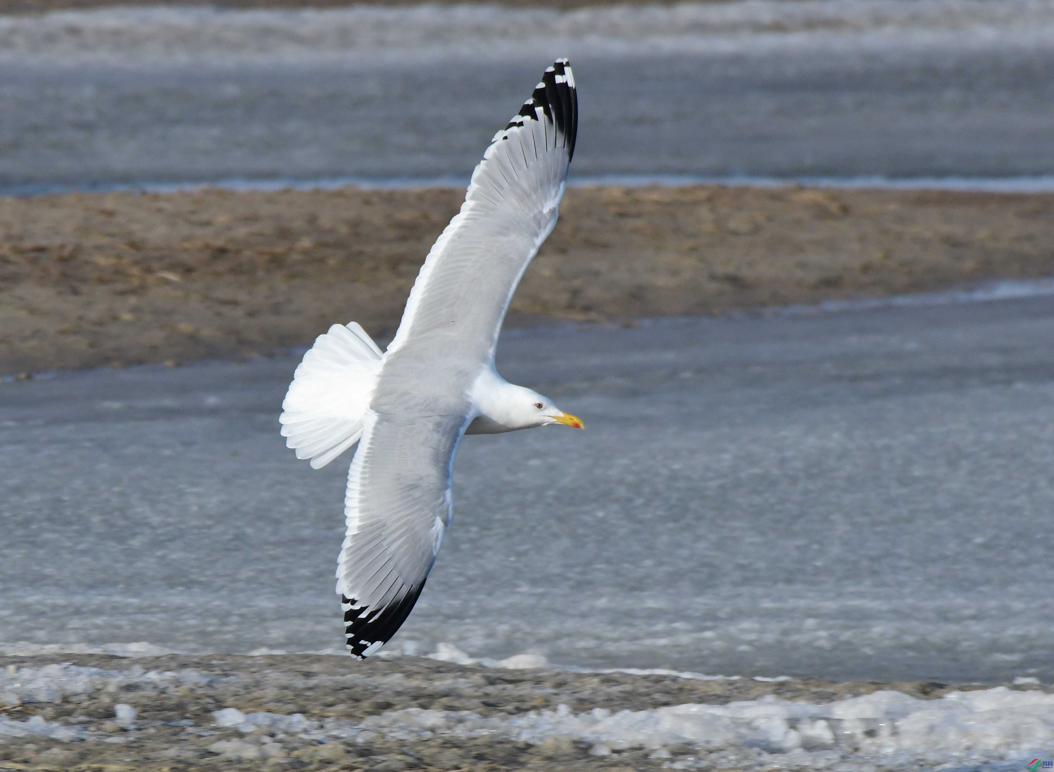 DSC_6764_����.jpg