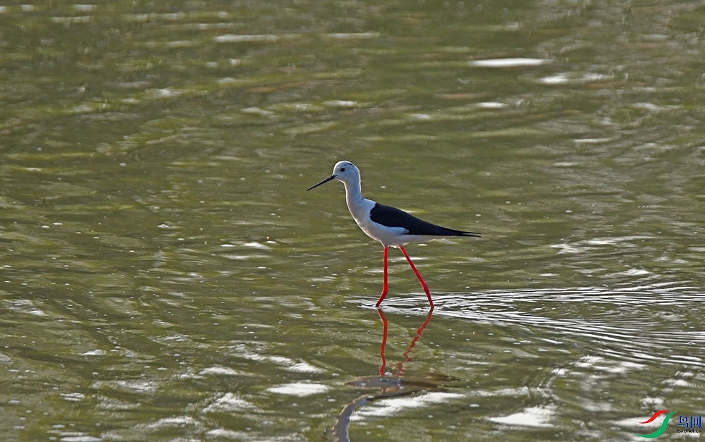 DSC_6308.jpg