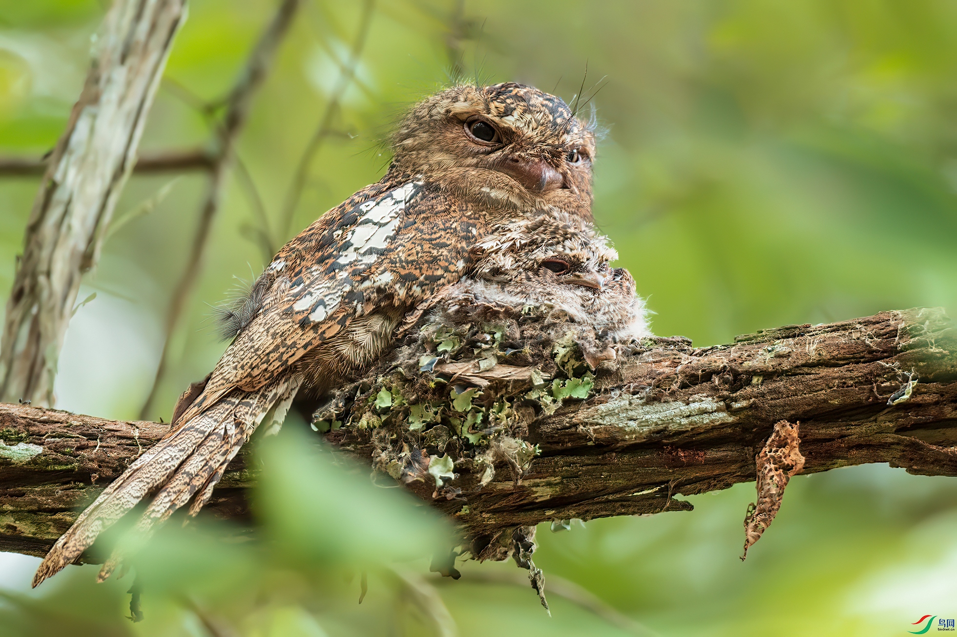 �ڶ���� ����.jpg