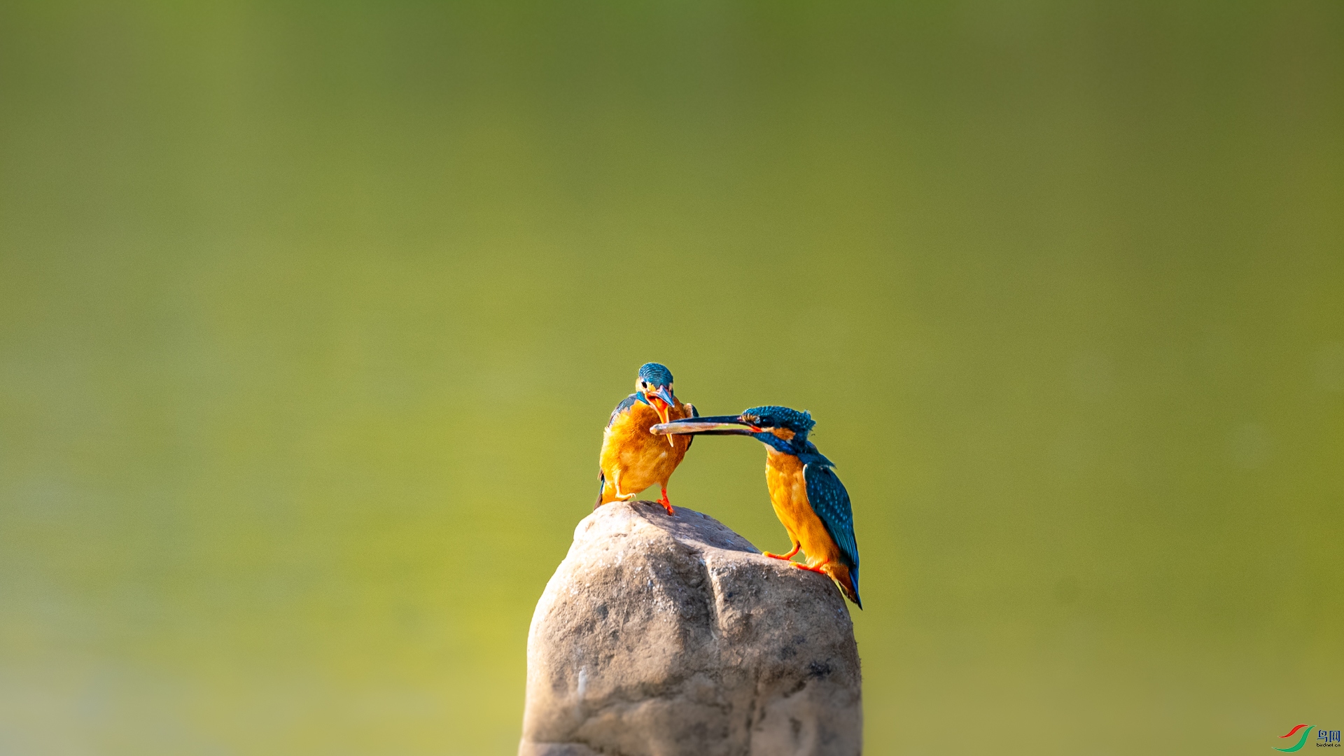 DSC_6542_1.jpg