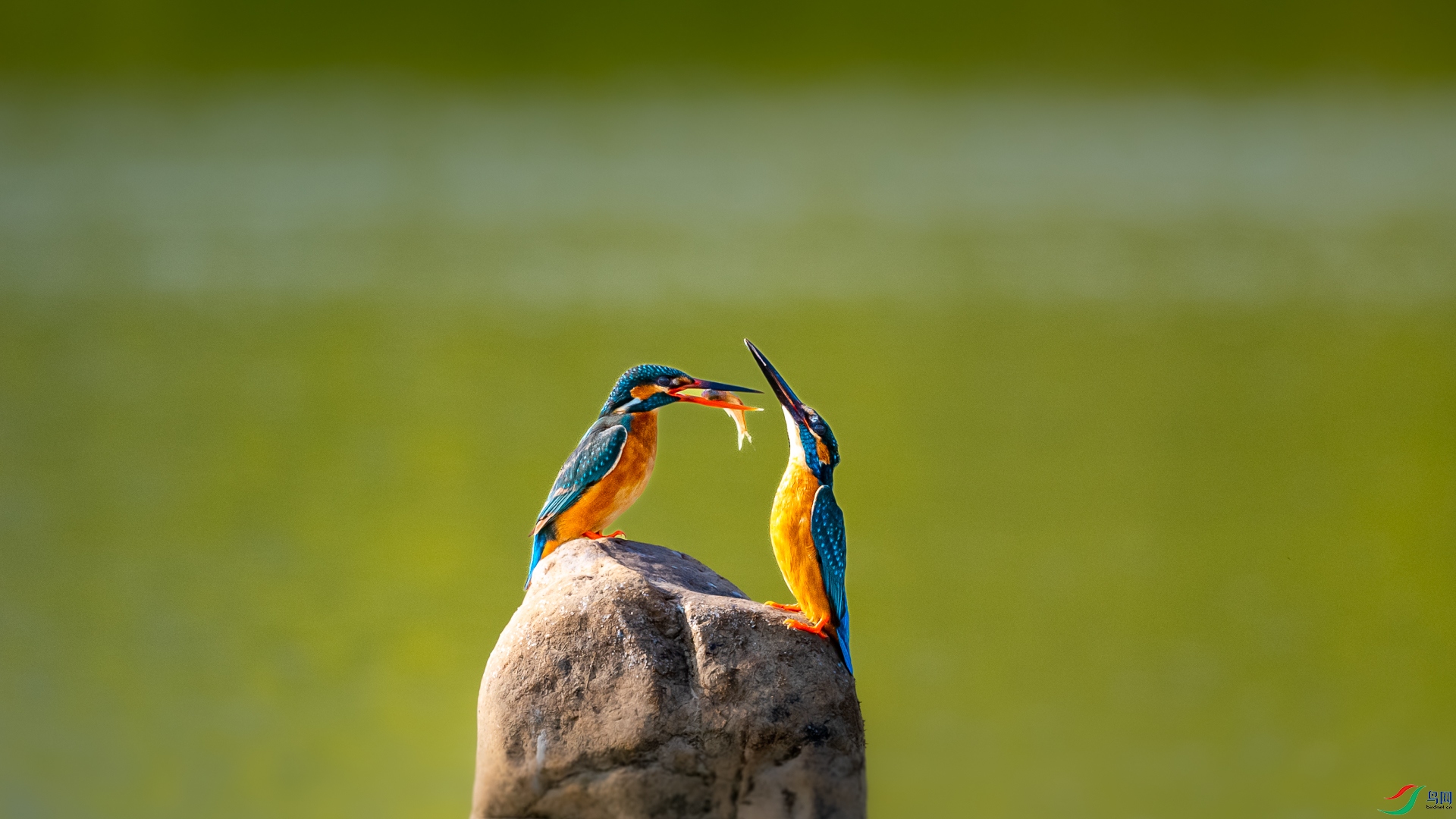 DSC_6553.jpg
