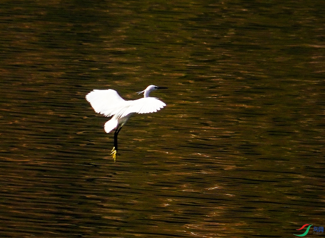 016DSC04051_1.jpg