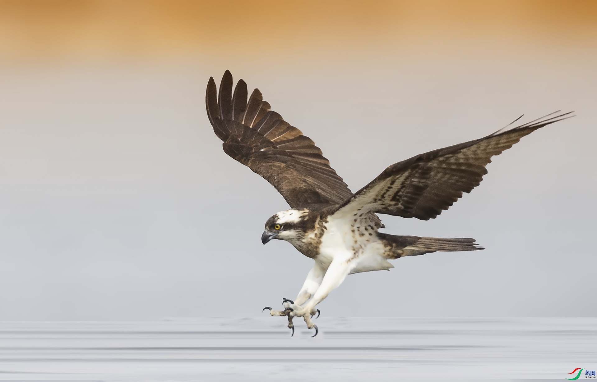 019A4399 ����.jpg