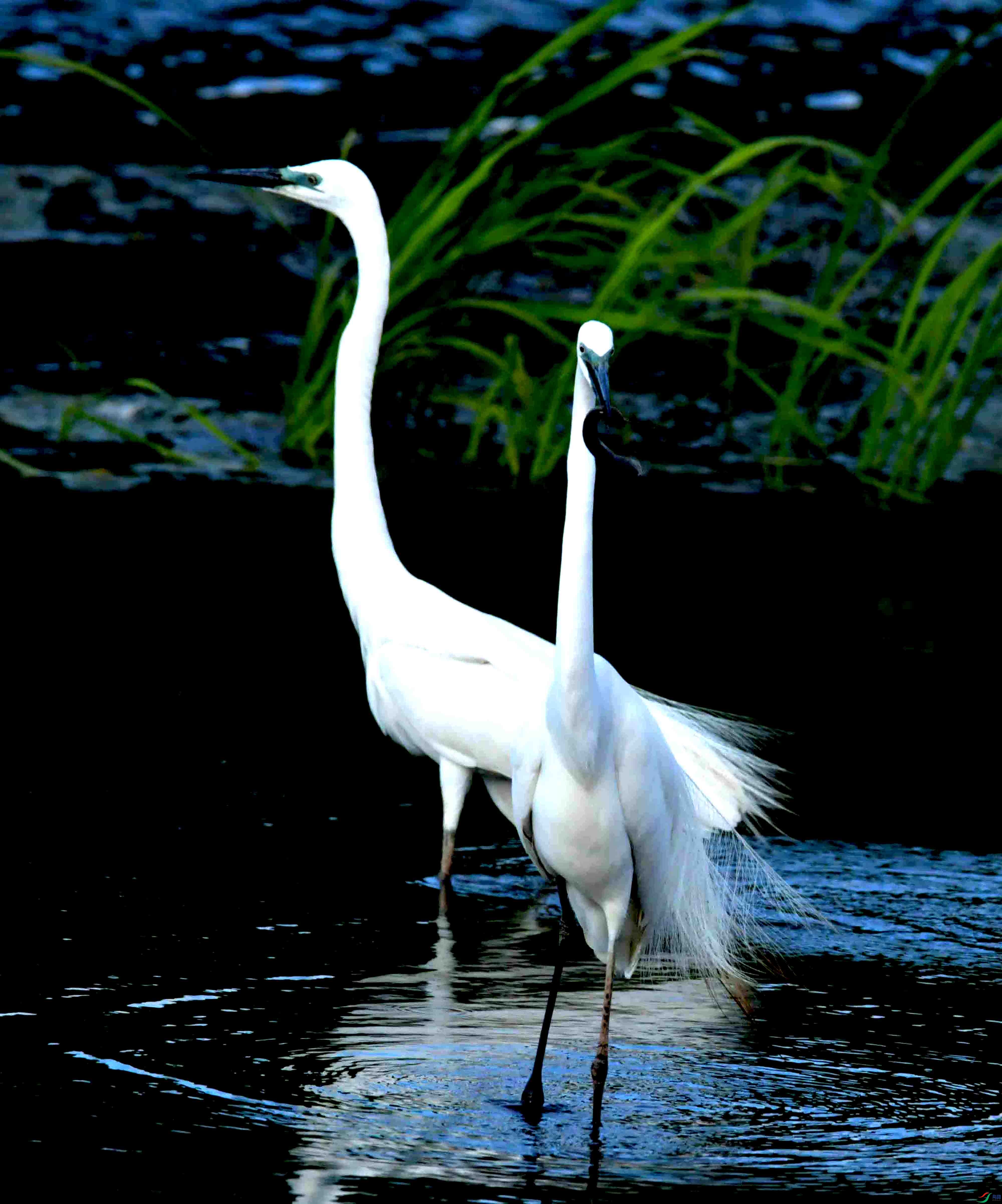 DSC_1963.JPG