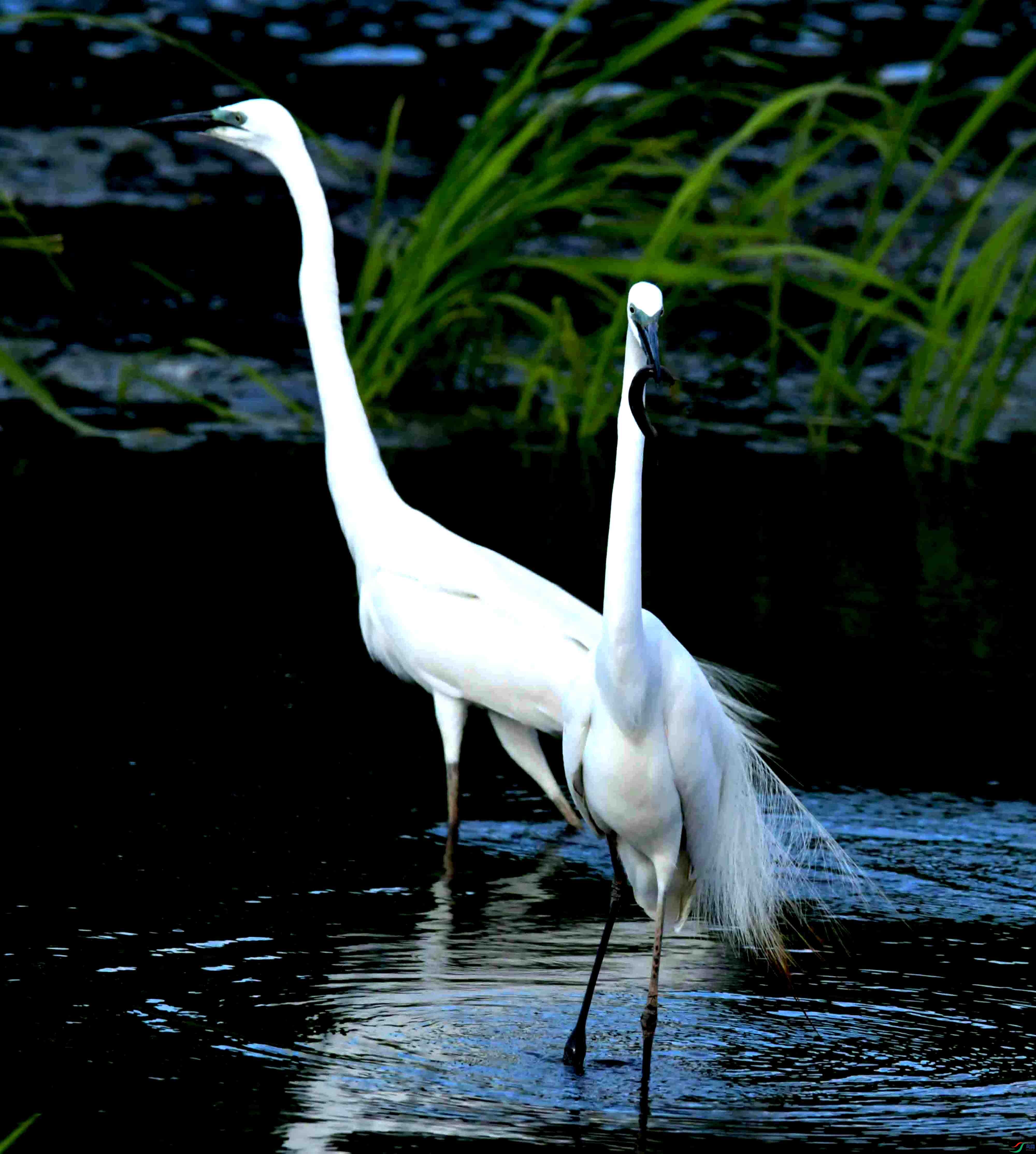 DSC_1964.JPG