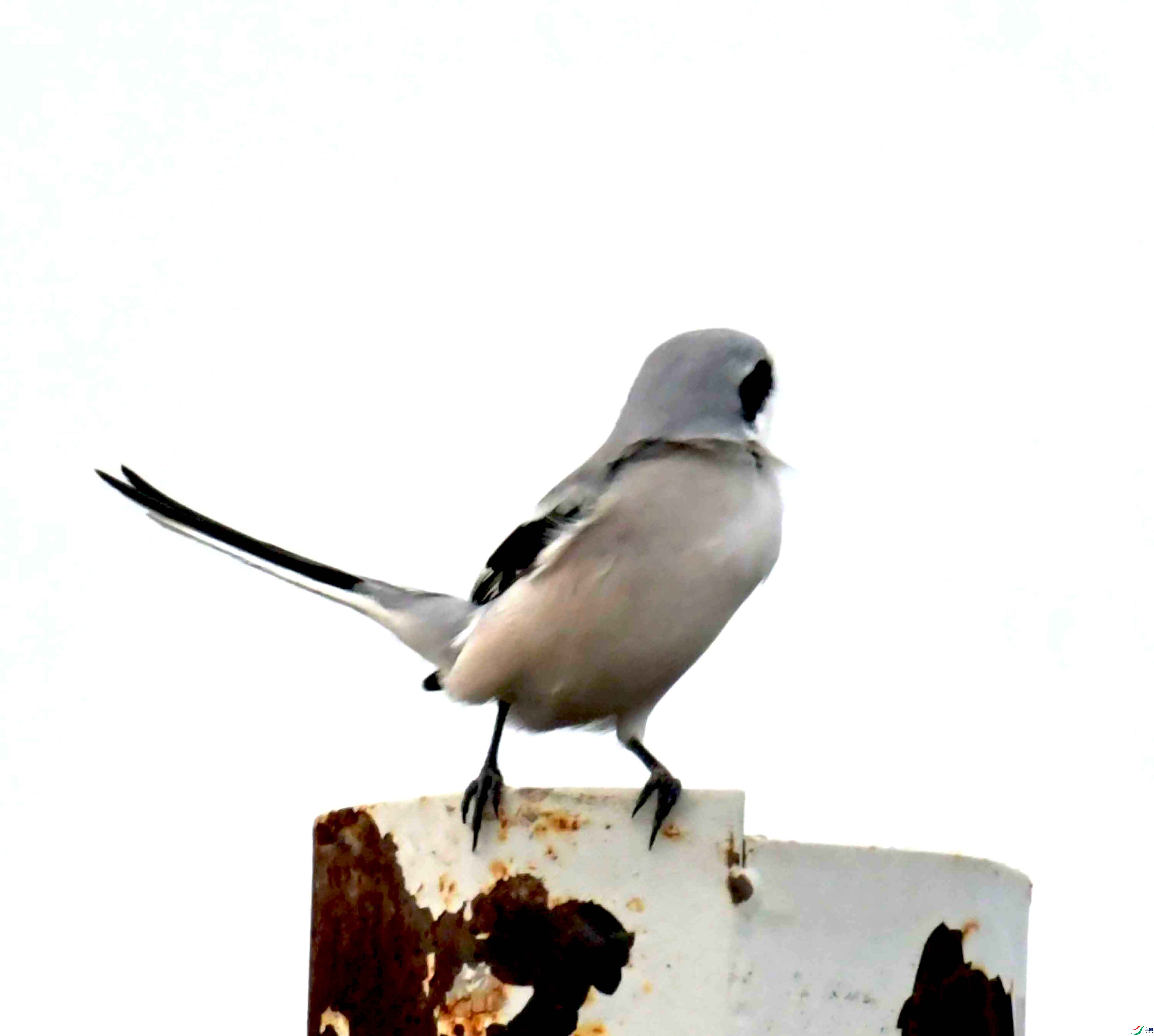 DSC_4075.JPG