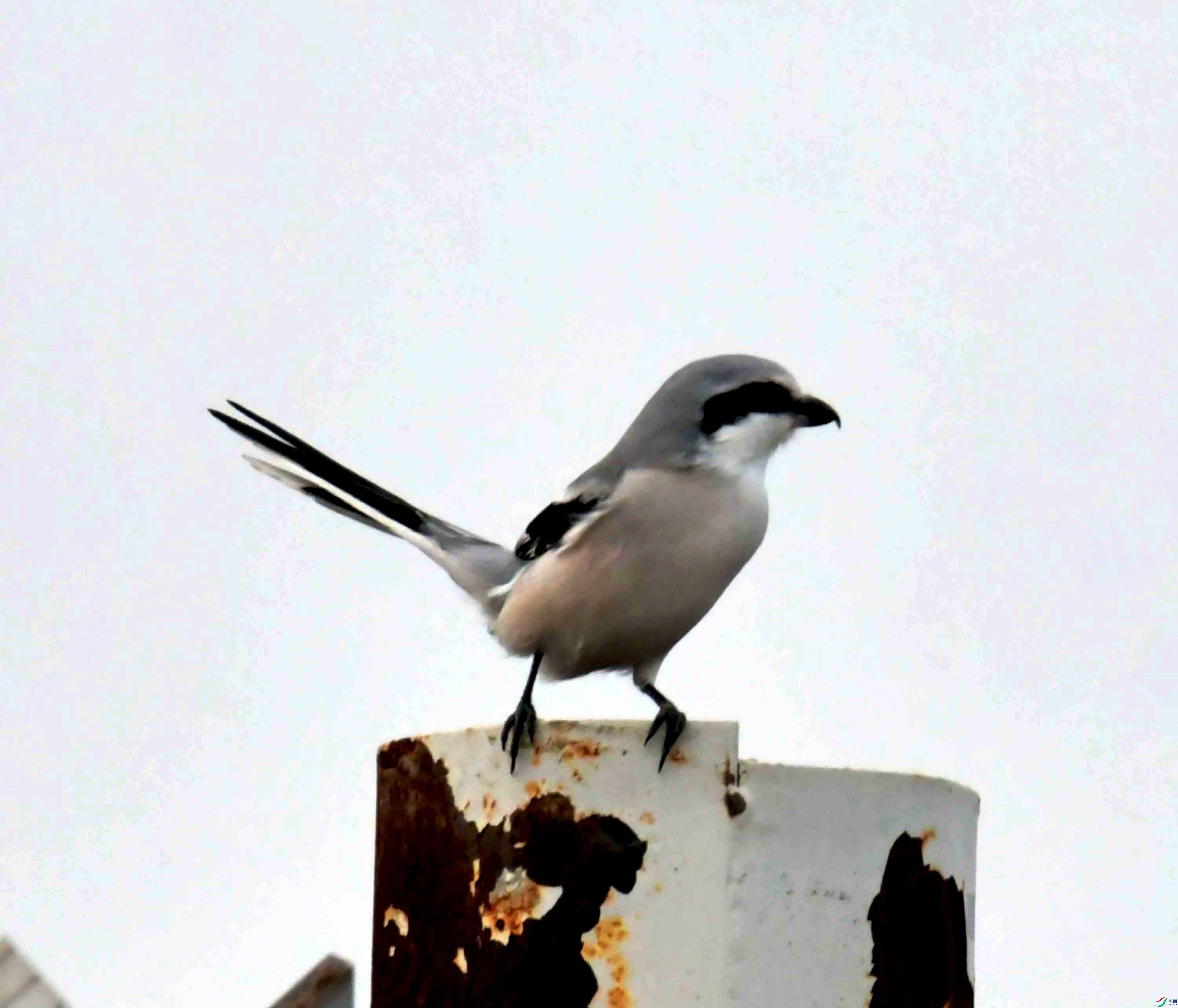 DSC_4078.JPG