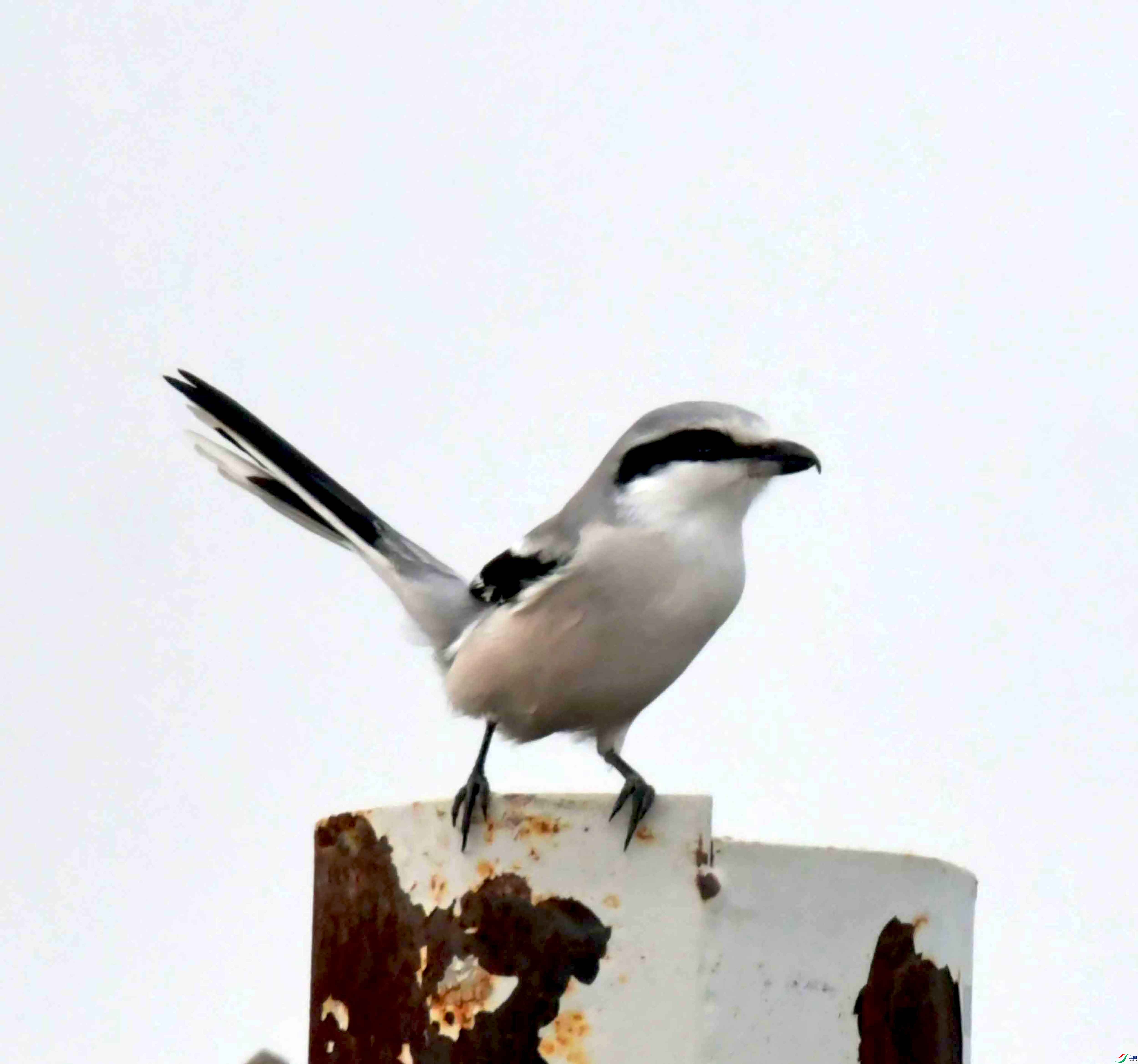 DSC_4079.JPG