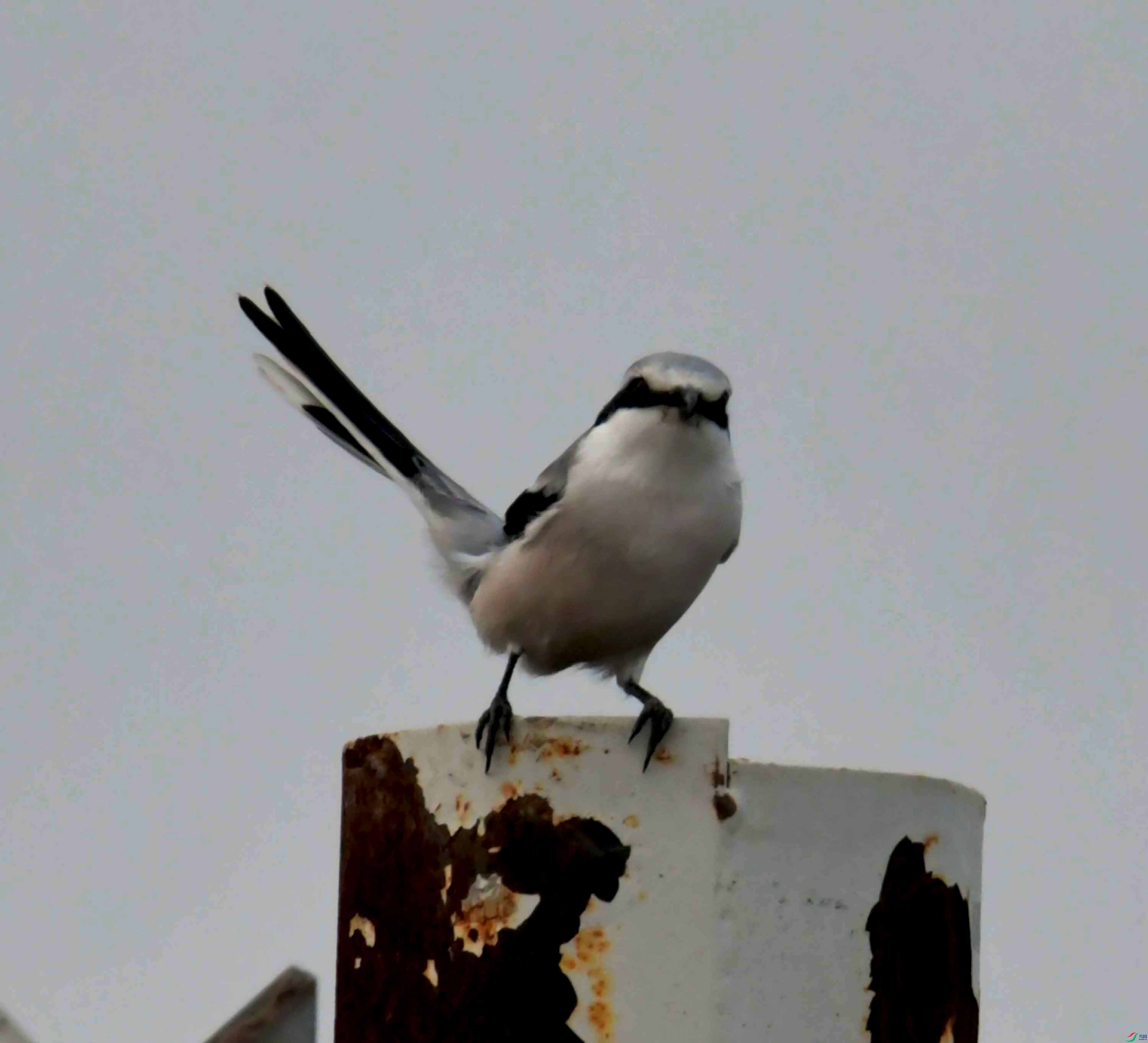 DSC_4081.JPG
