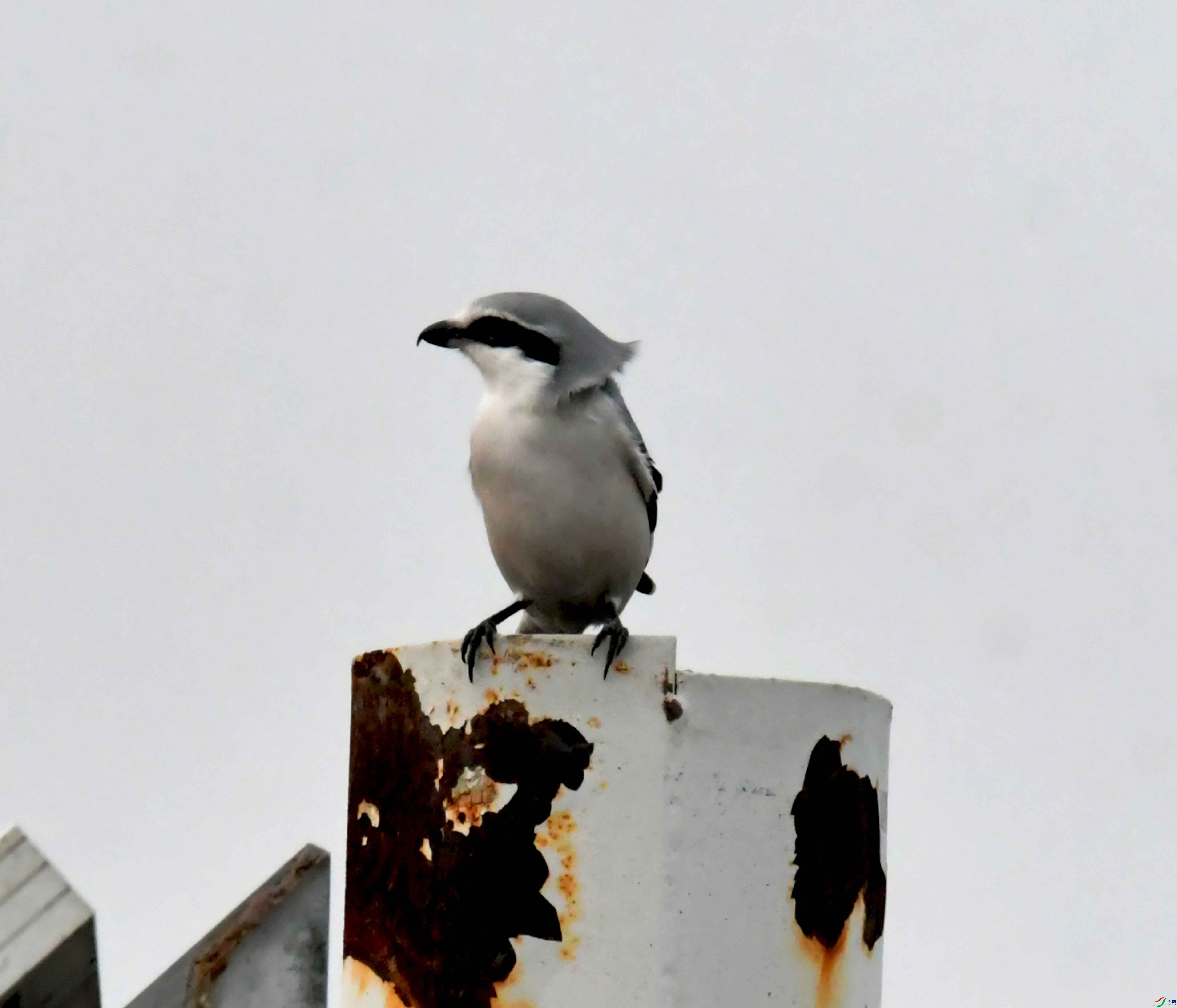 DSC_4085.JPG