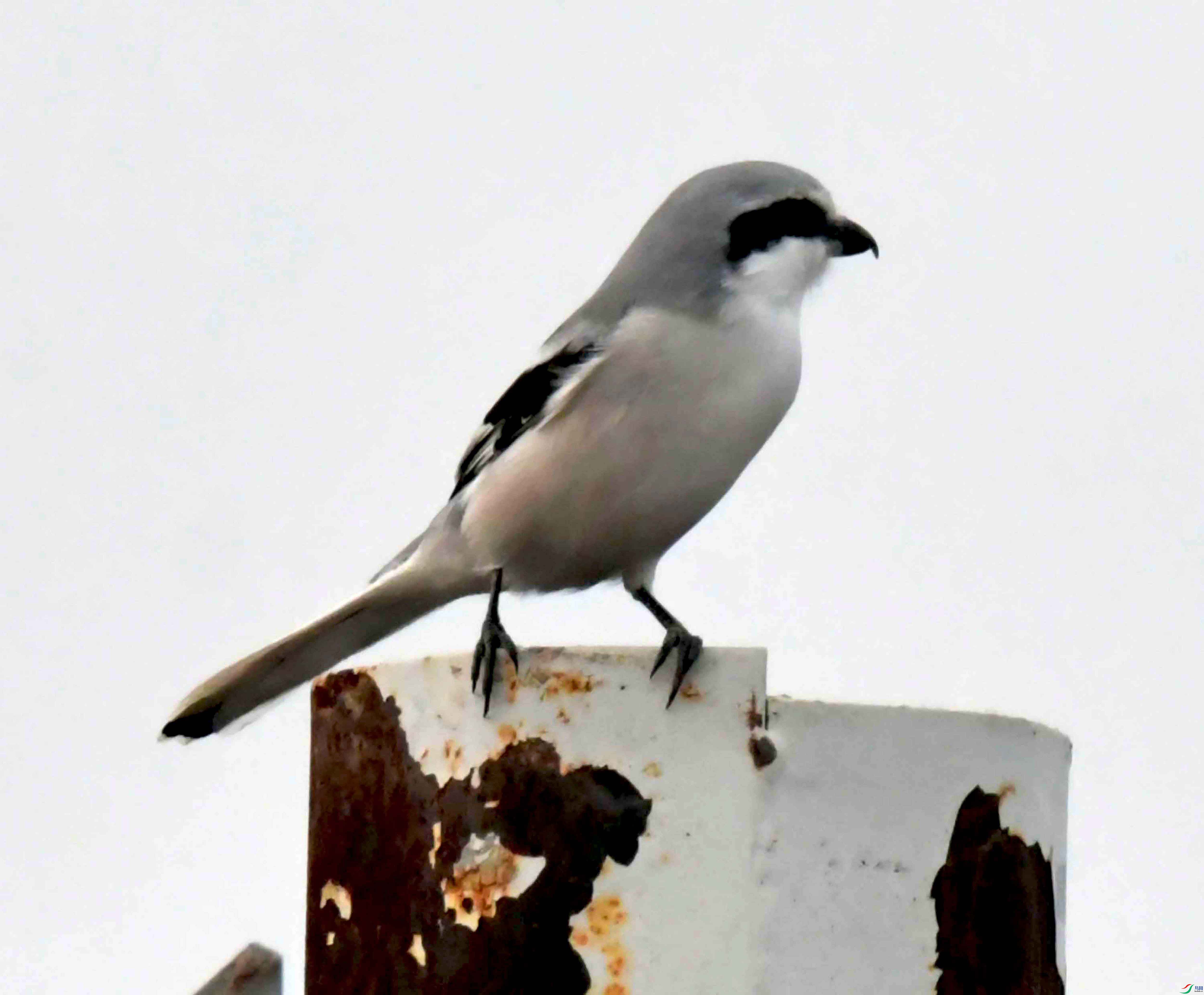 DSC_4093.JPG