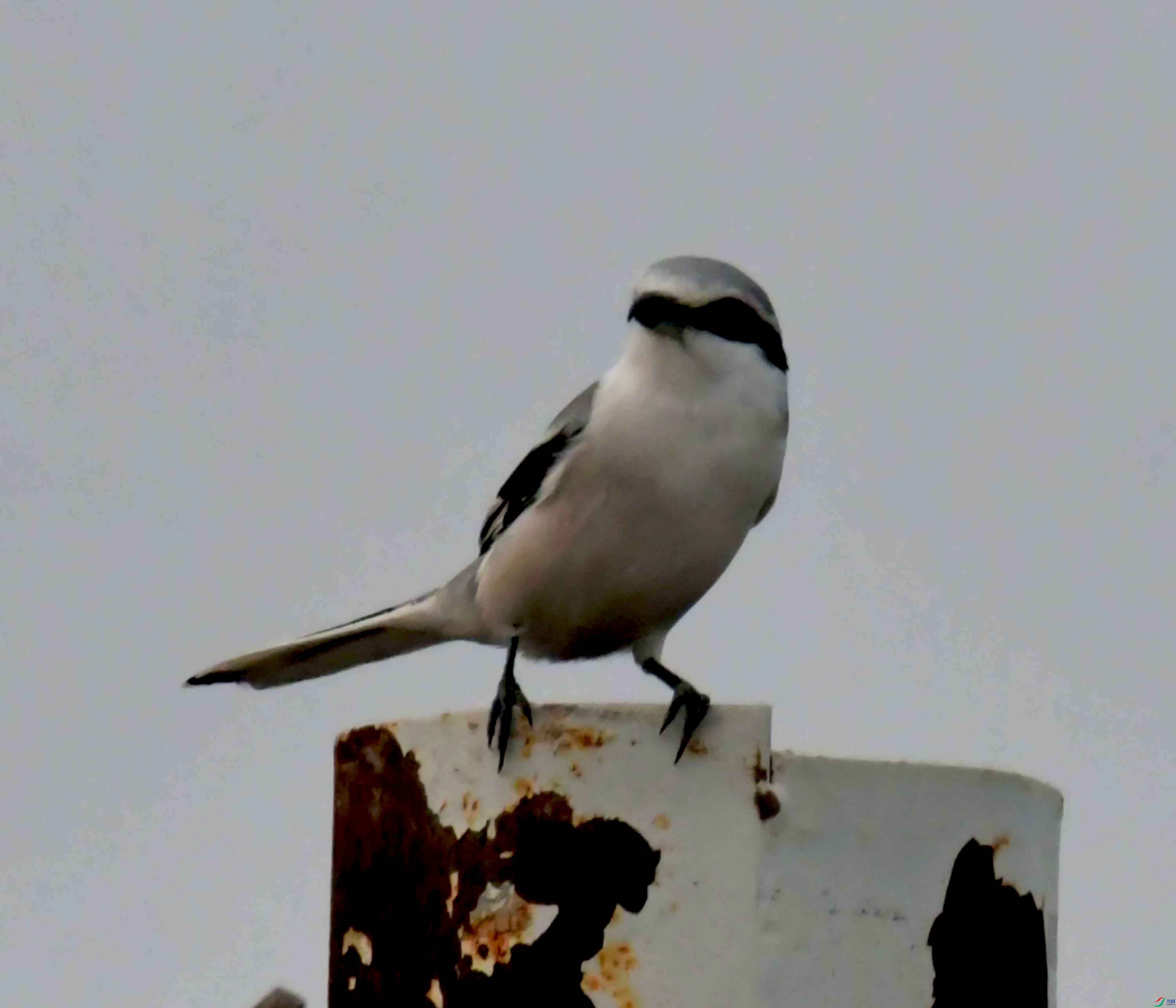 DSC_4099.JPG