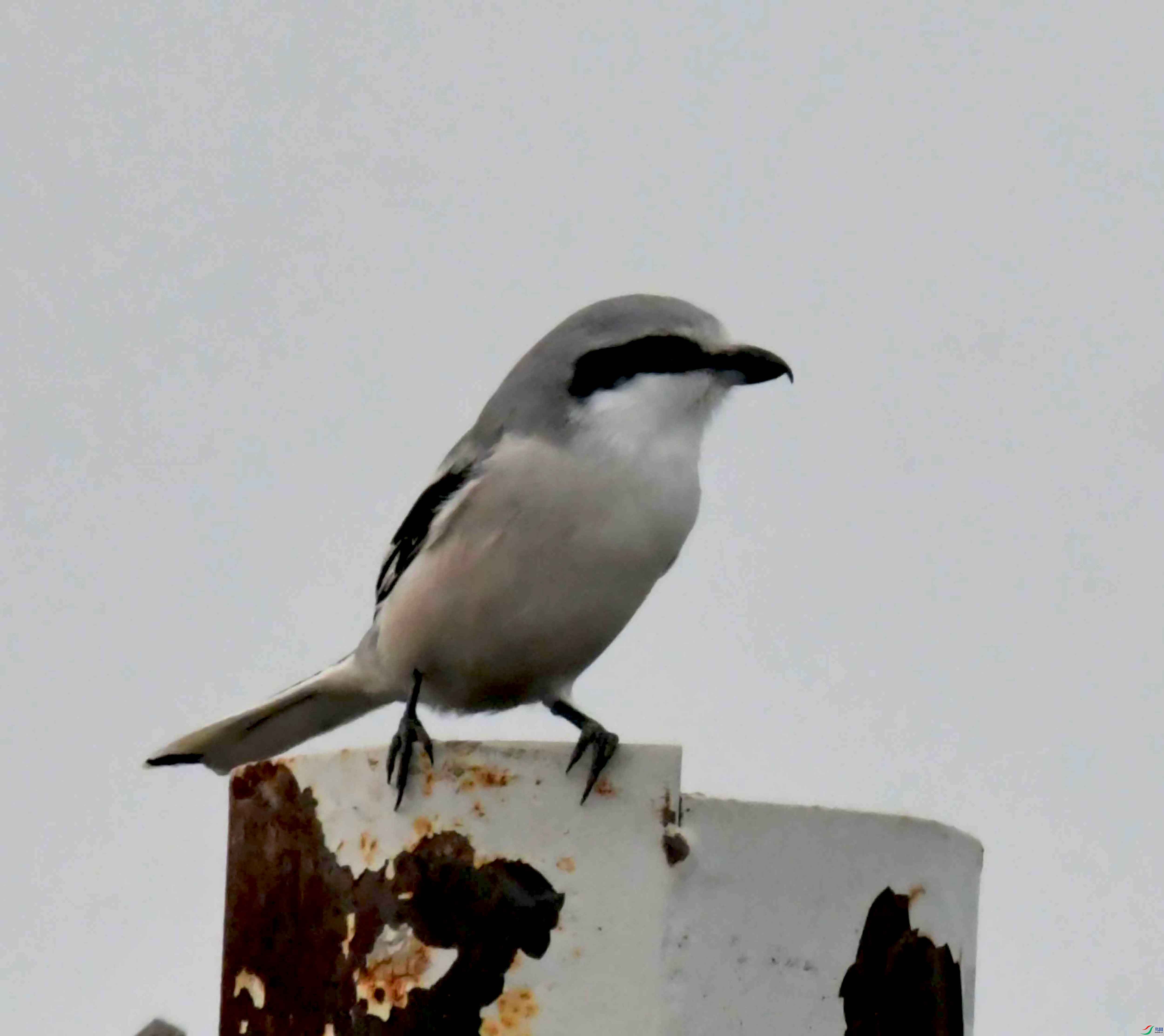 DSC_4102.JPG