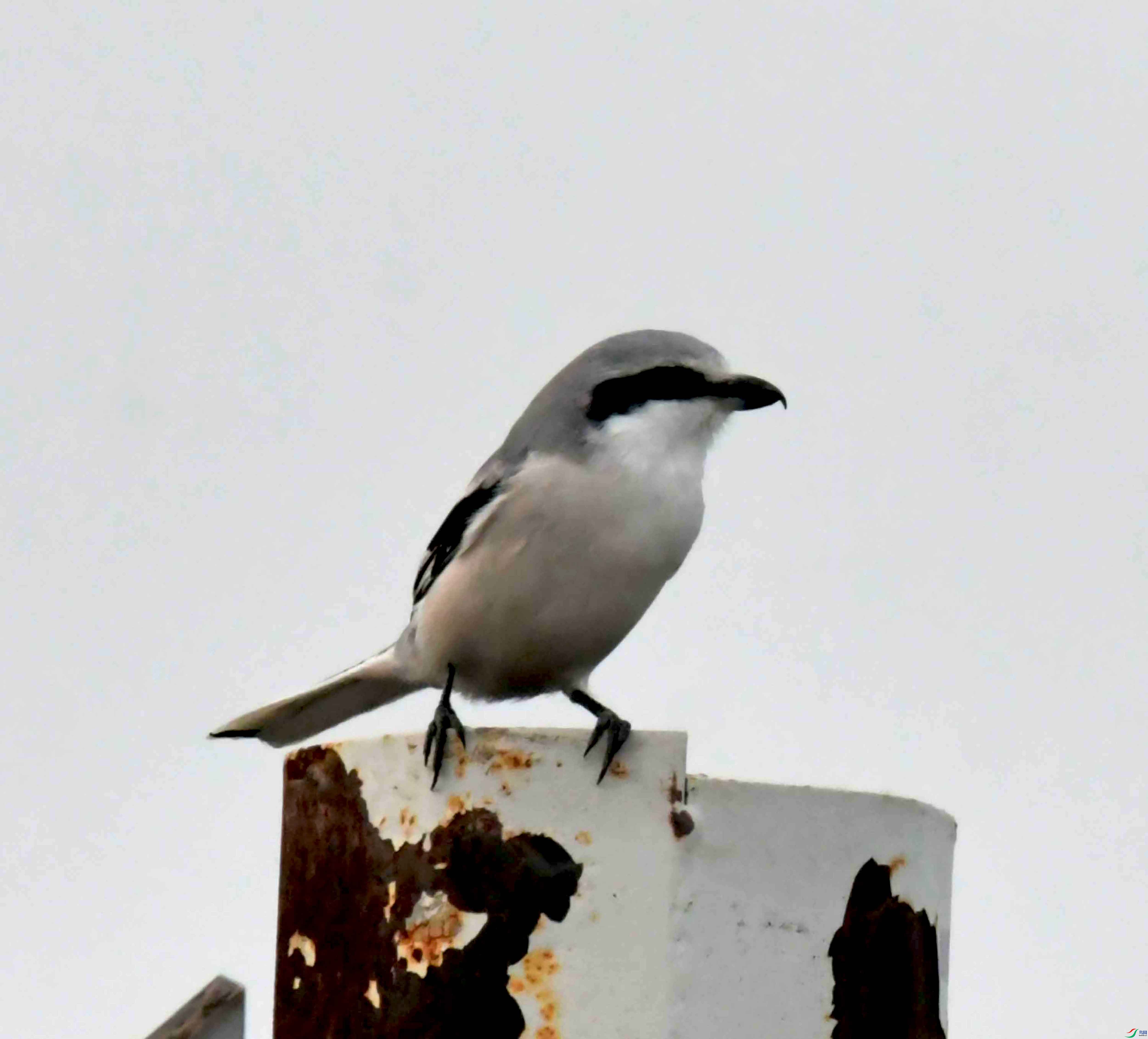 DSC_4101.JPG