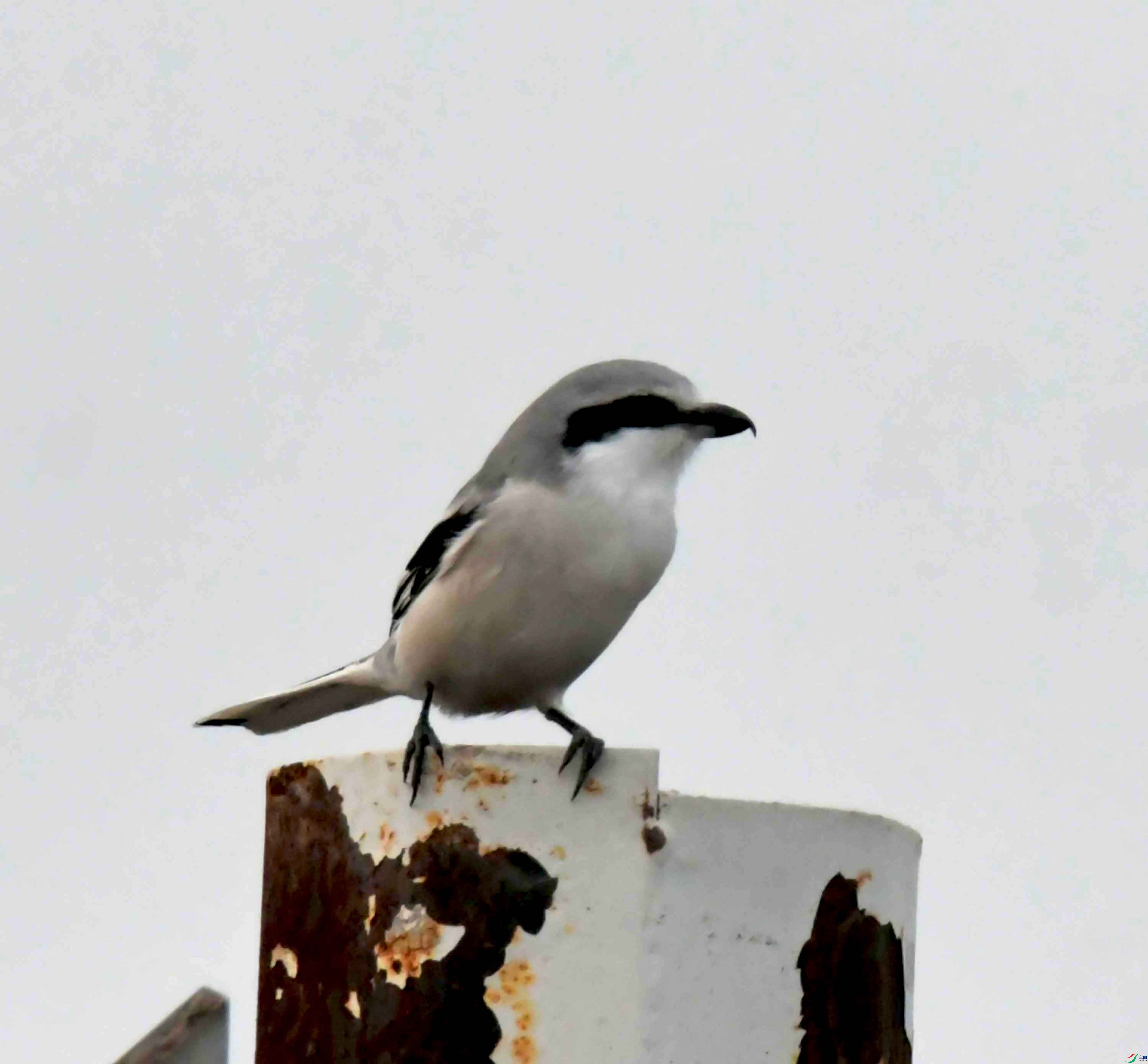 DSC_4100.JPG