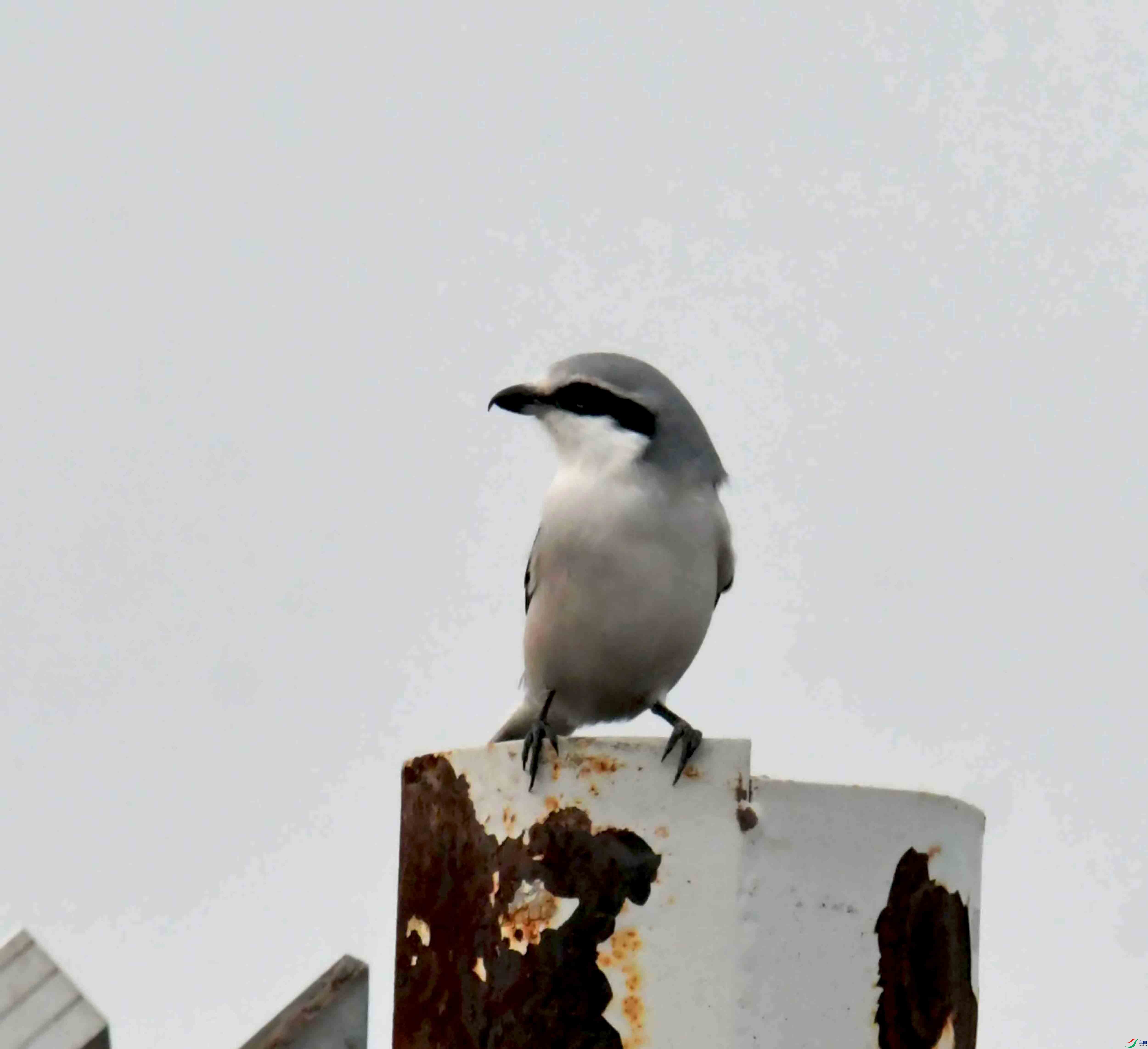 DSC_4104.JPG