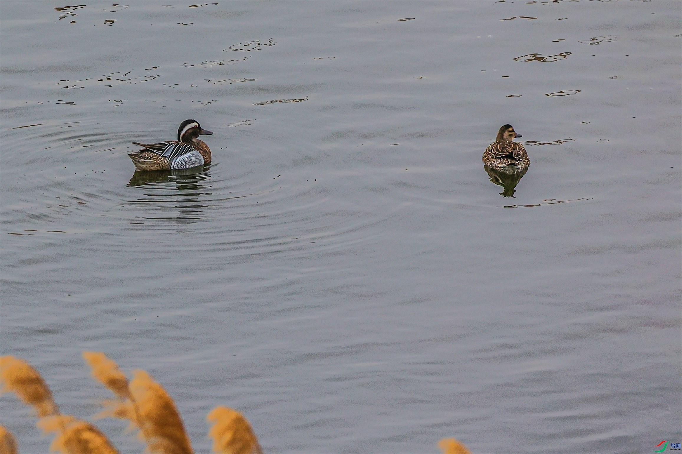 1K3A7711 ����1.jpg