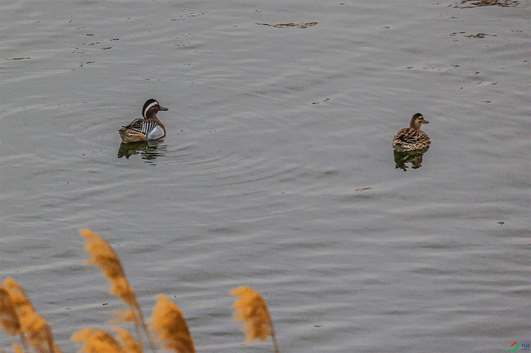 1K3A7698 ����1.jpg