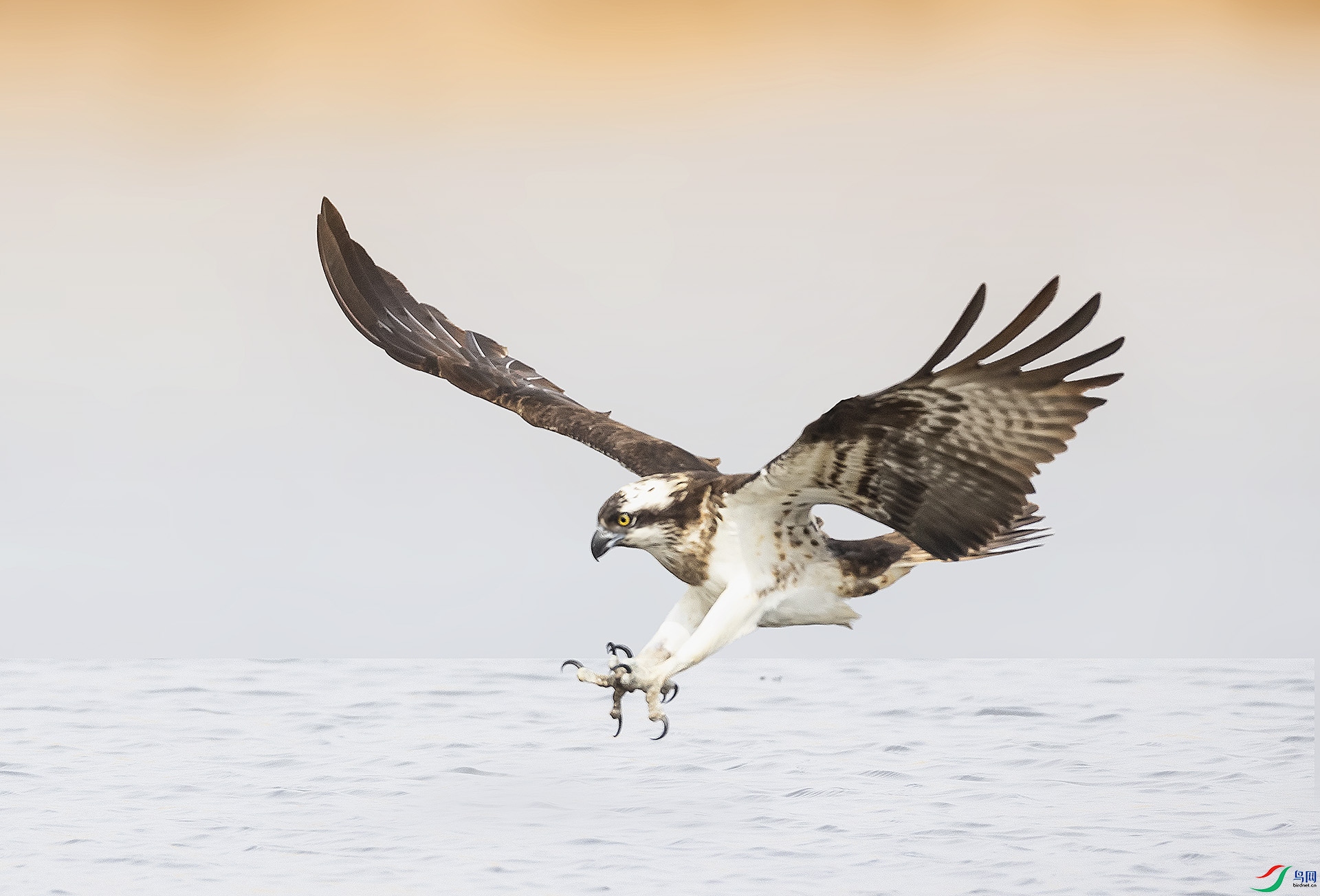 019A4400 ����.jpg