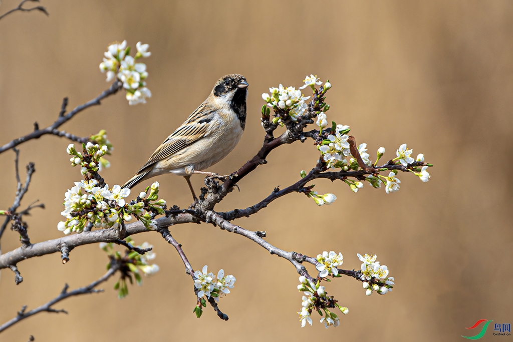 _DSC4026 - ����.jpg