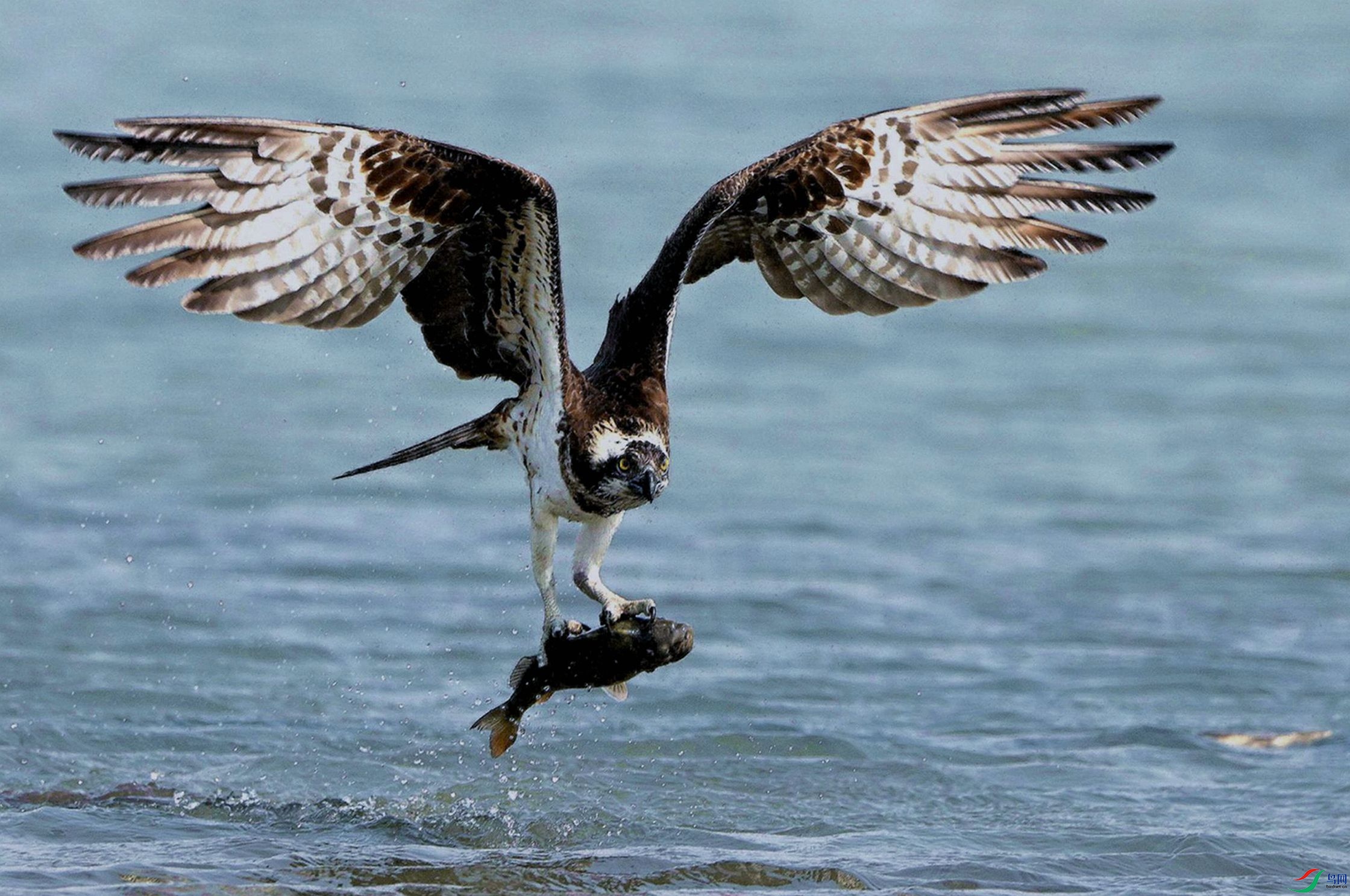 �˿̺����顣