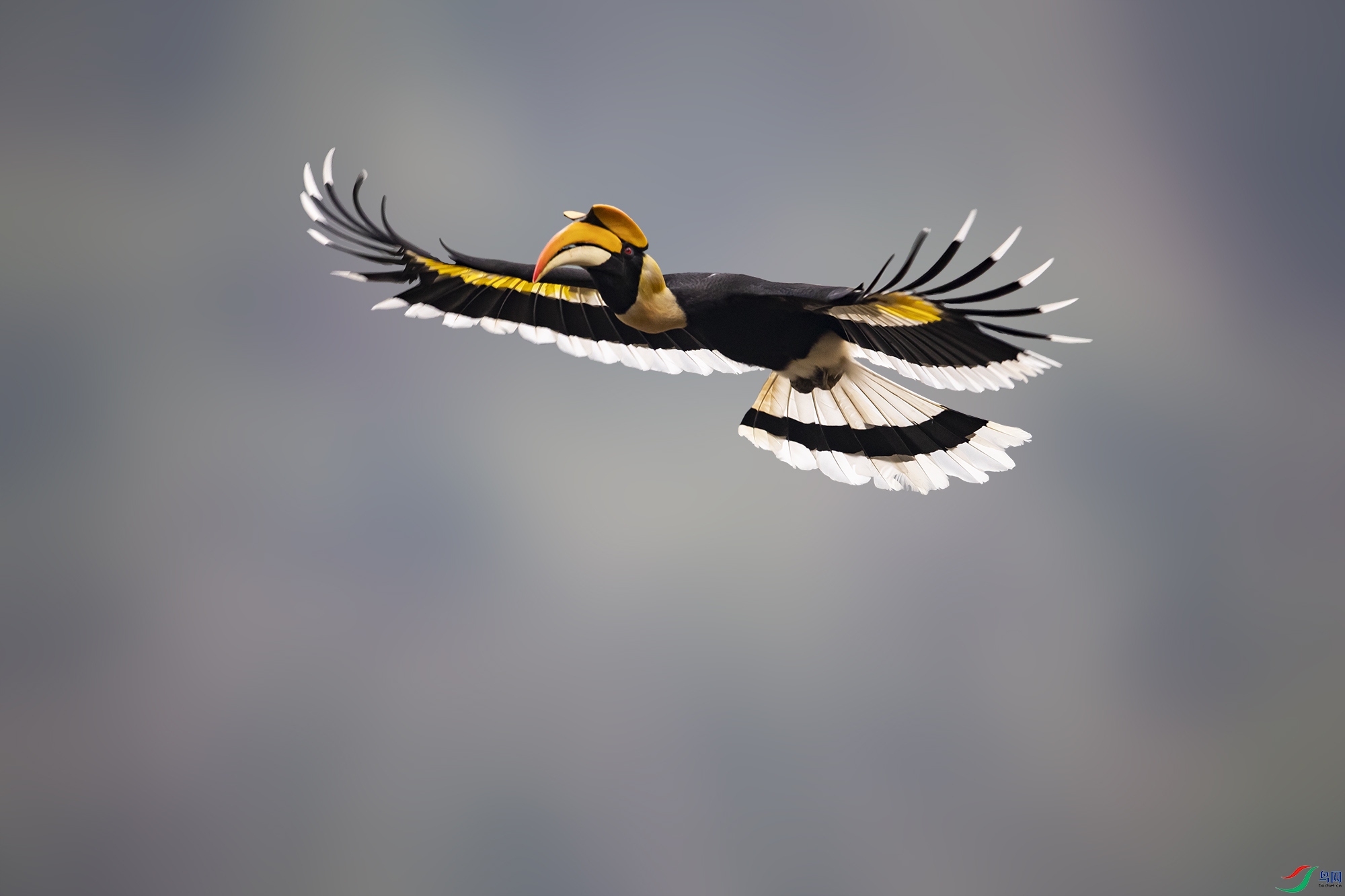 A46I2690 ����.psd2.jpg