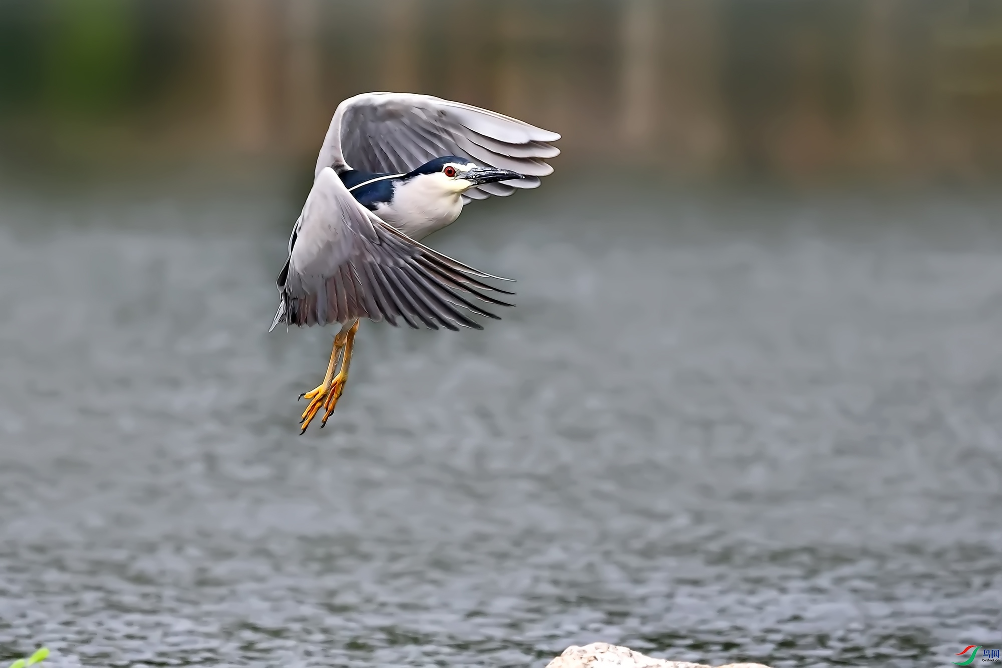 DSC_6770.jpg