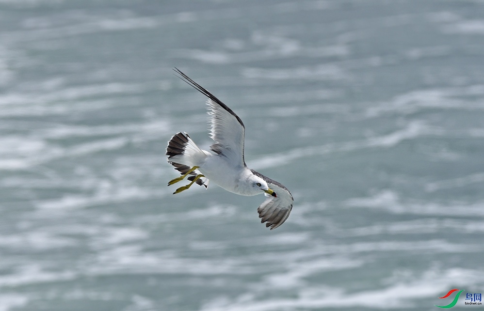 DSC_6117.jpg