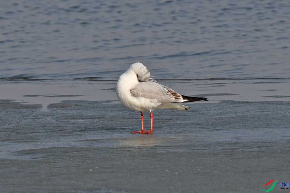DSC_7513.jpg