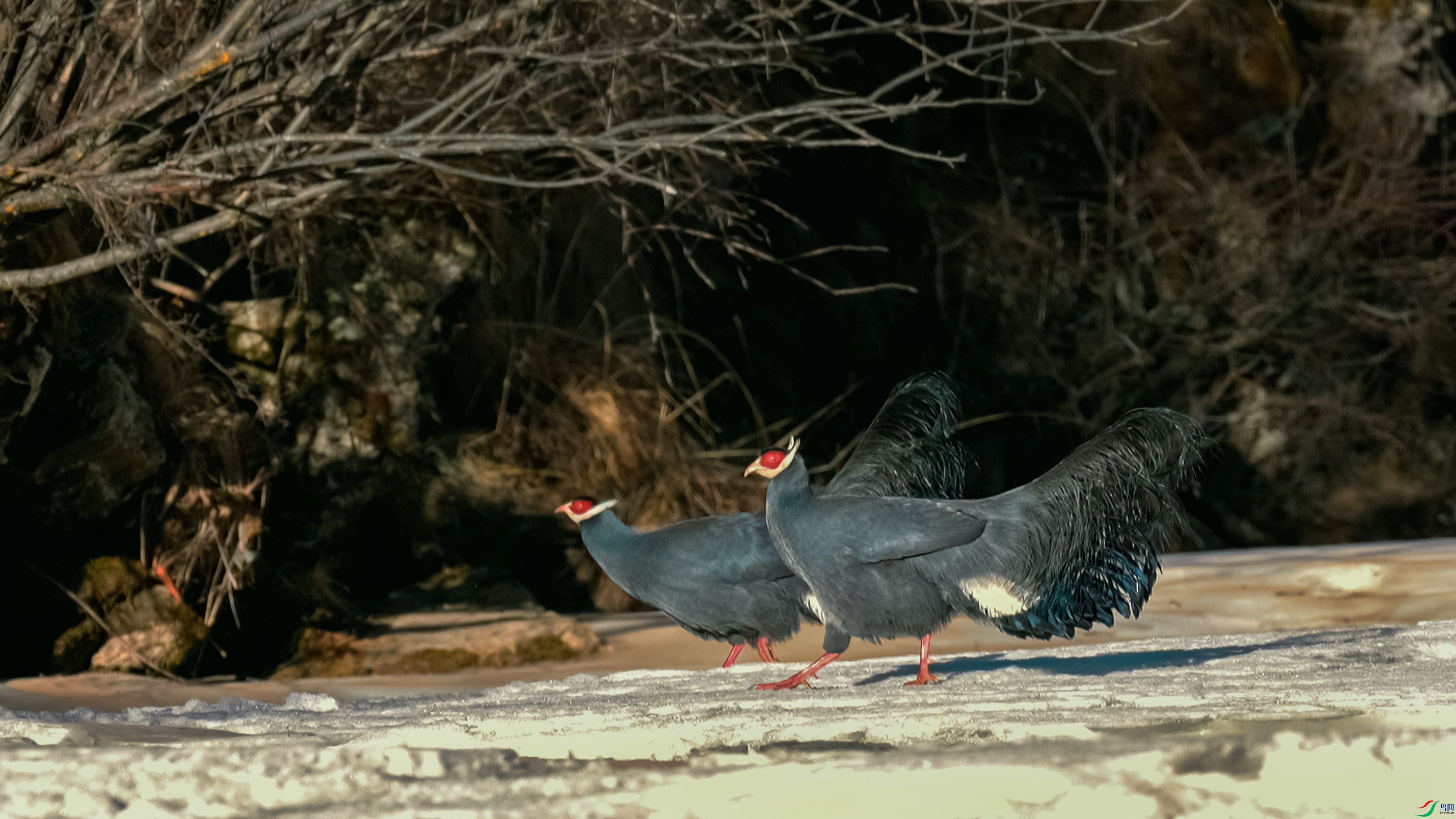 Still1106_00000 ����.jpg